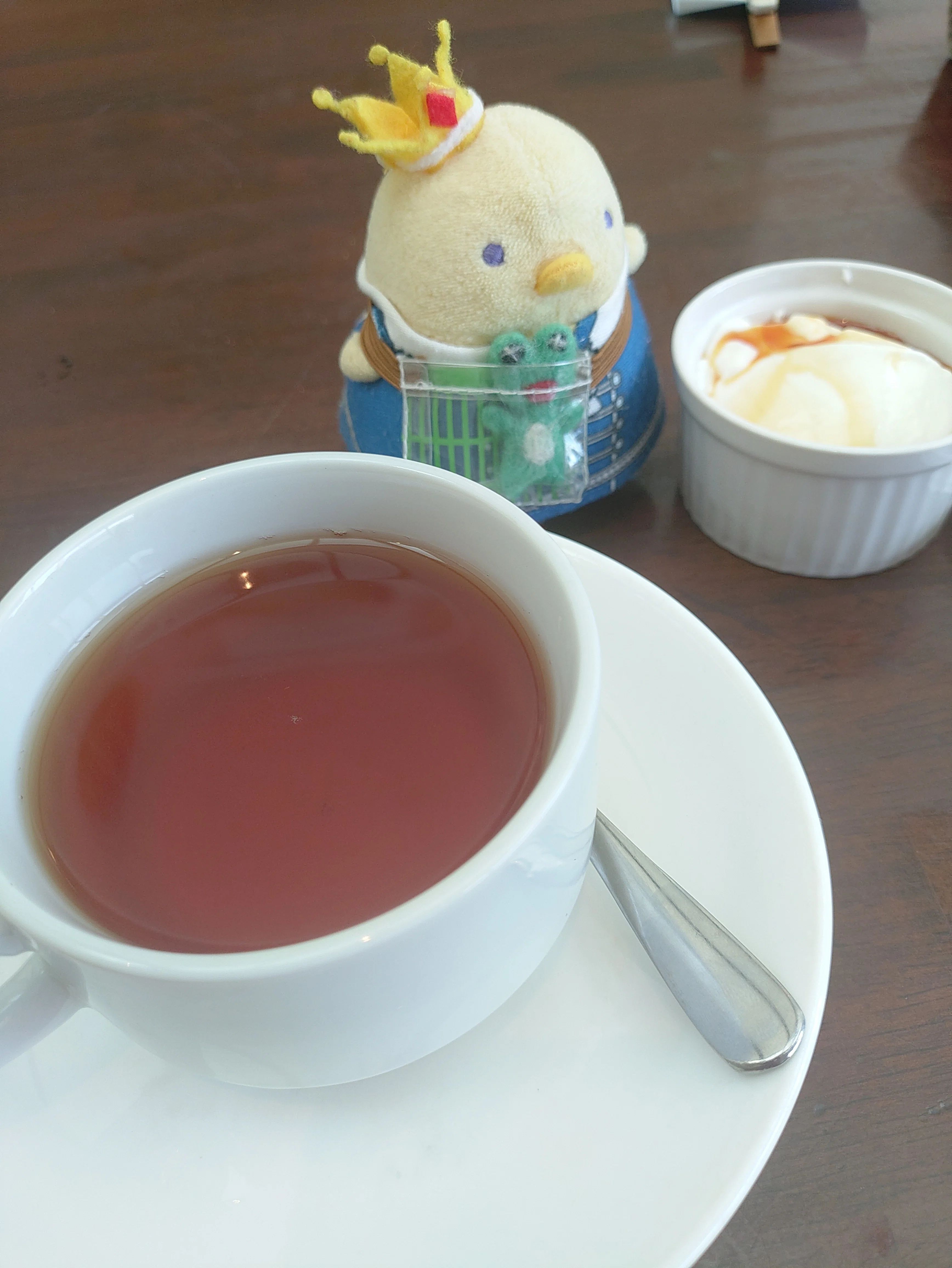 担当が近くに来たのが嬉しすぎて、常滑のみくにゃんに会いに行ってきた