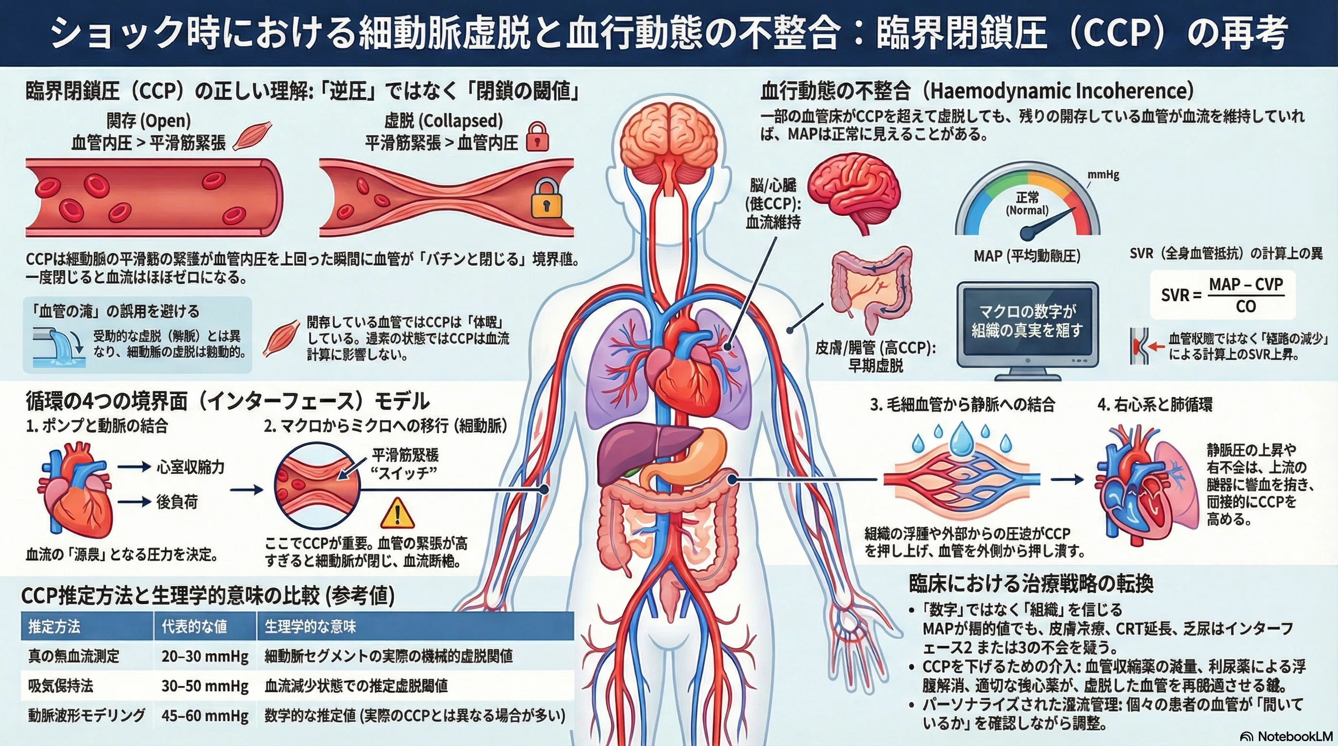 SVRが高くても「血管は締まっていない」かもしれない？ ショック管理の