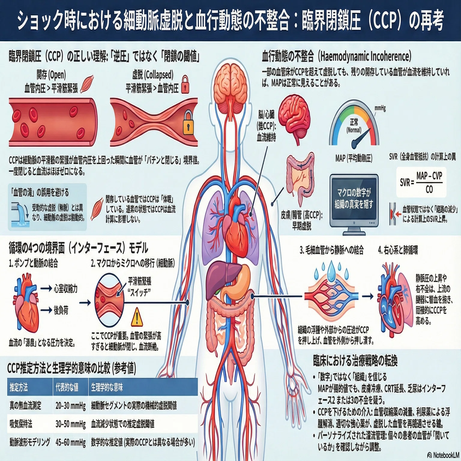 SVRが高くても「血管は締まっていない」かもしれない？ ショック管理の