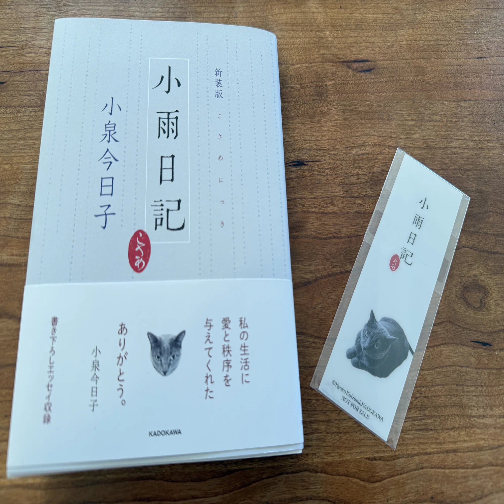 新装版 小雨日記』刊行記念 小泉今日子トークショー」（＠ニッショー 