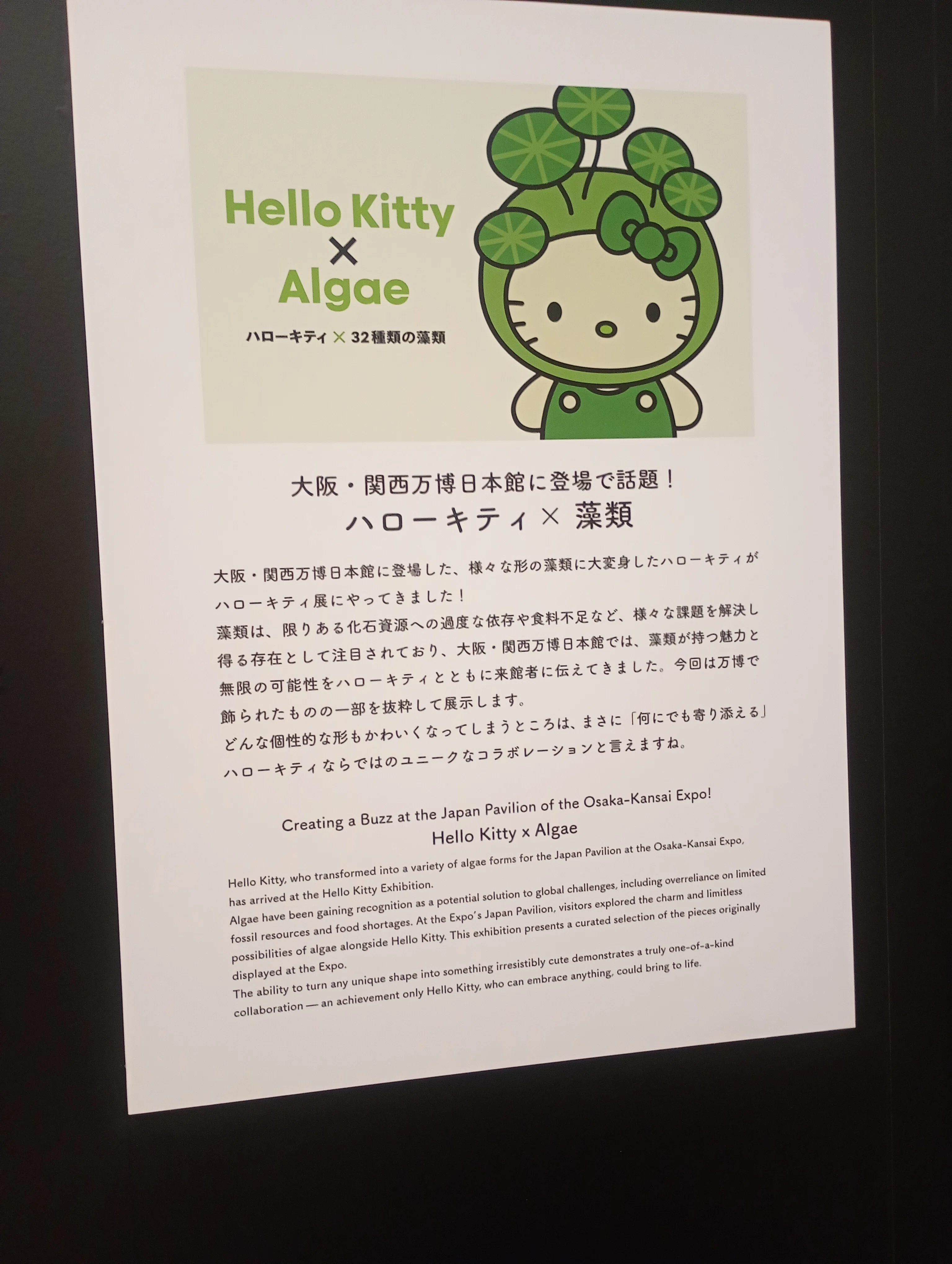ハローキティ展にいってきました｜杏