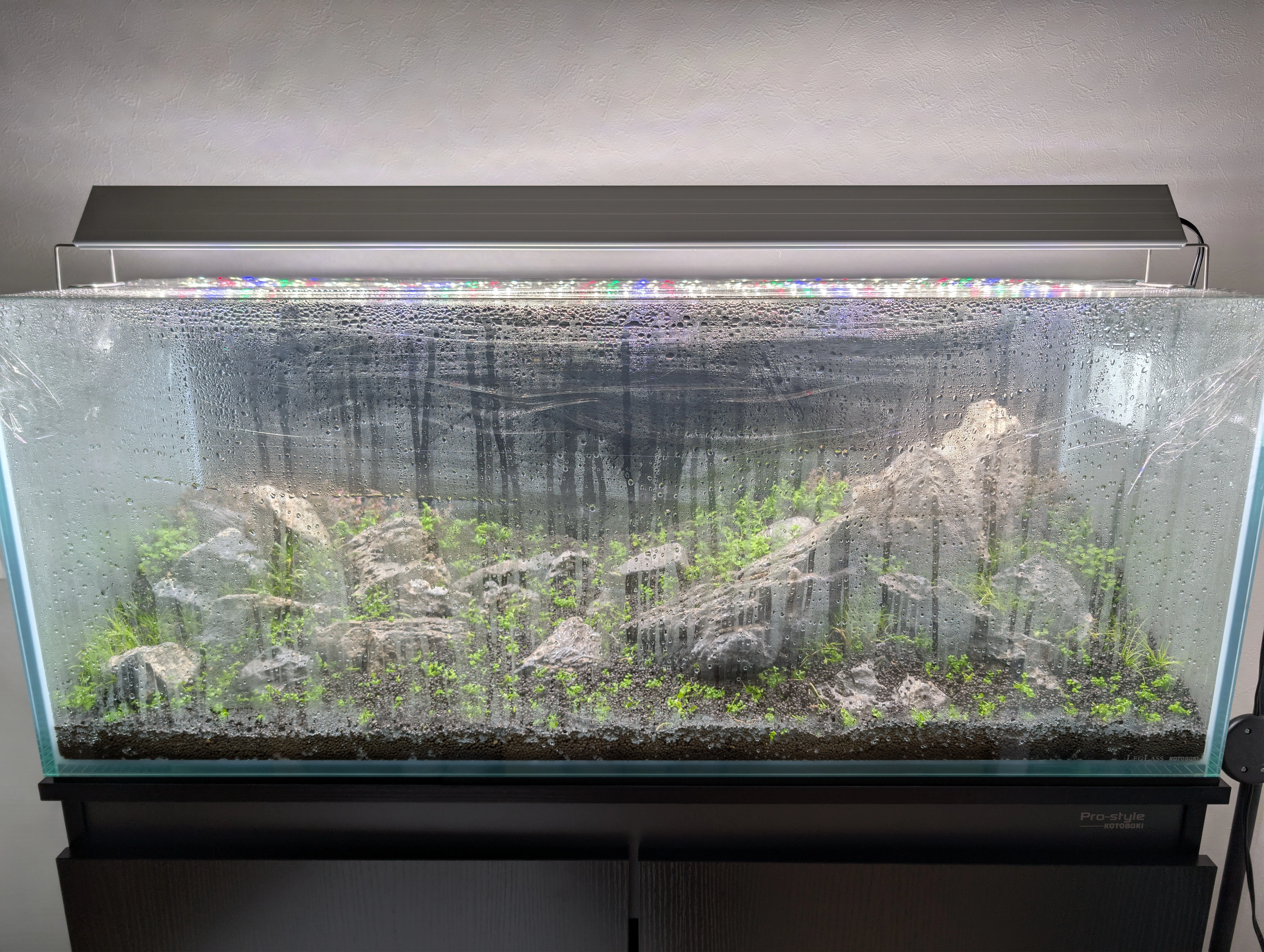 90cm水槽①】総額15万。10畳ワンルームに「巨大な水たまり」を作った話 