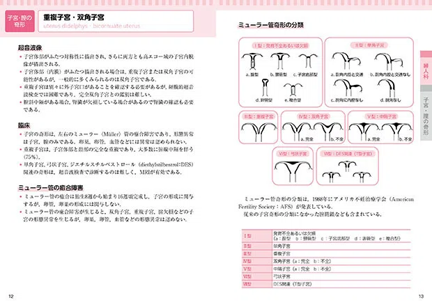 コンパクト超音波neo 産婦人科アトラス」〔新装改訂版〕2月下旬