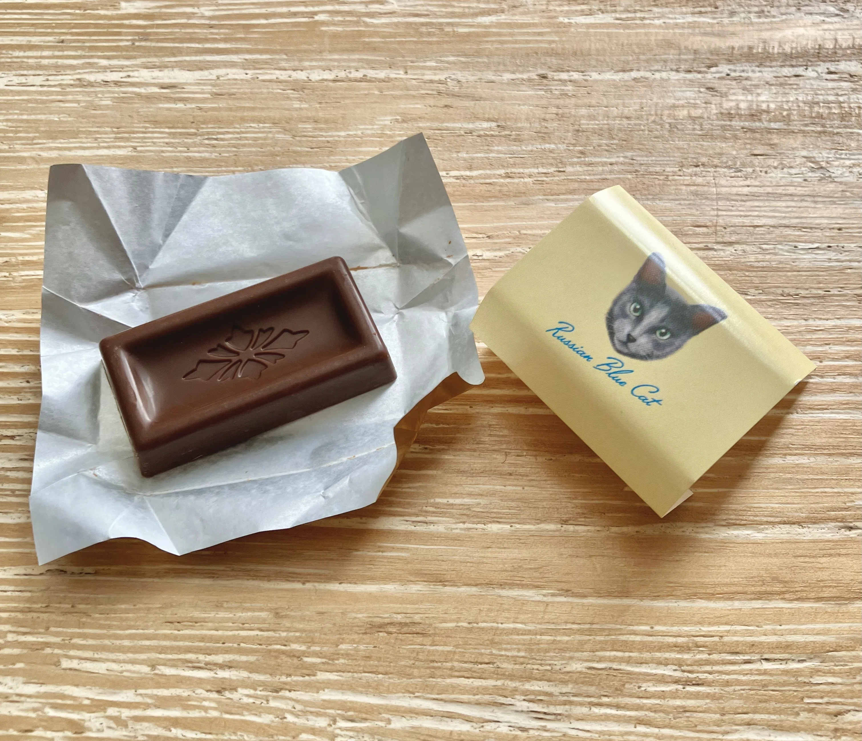 バレンタイン】猫好きさん歓喜のチョコレート&メモパットセット@KALDI