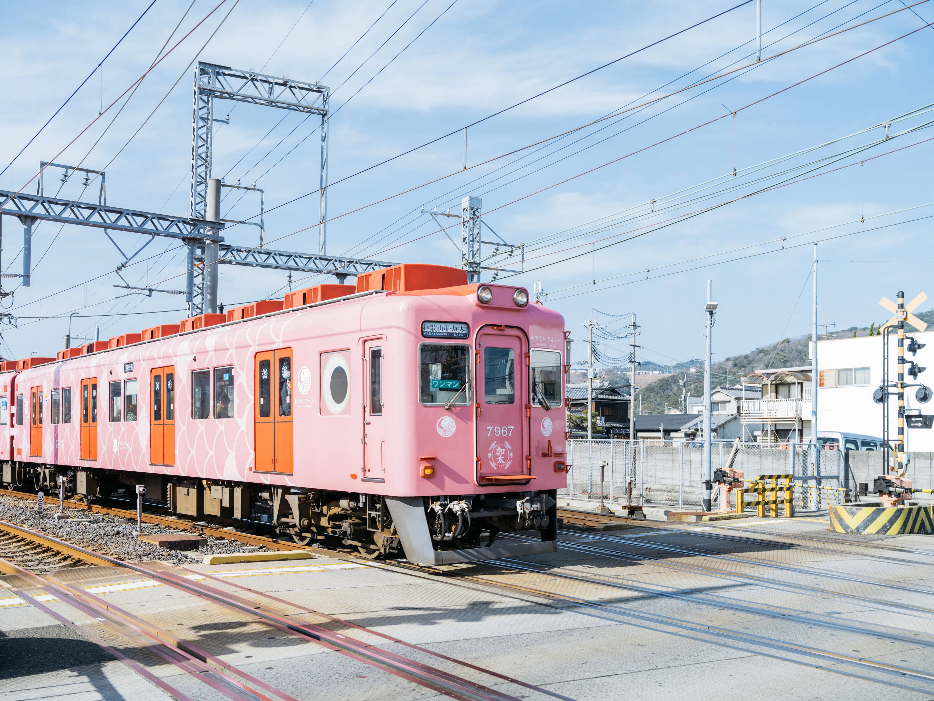 ひとりで和歌山】妄想ひろがる昭和喫茶で、時代をトリップ｜南海電車が