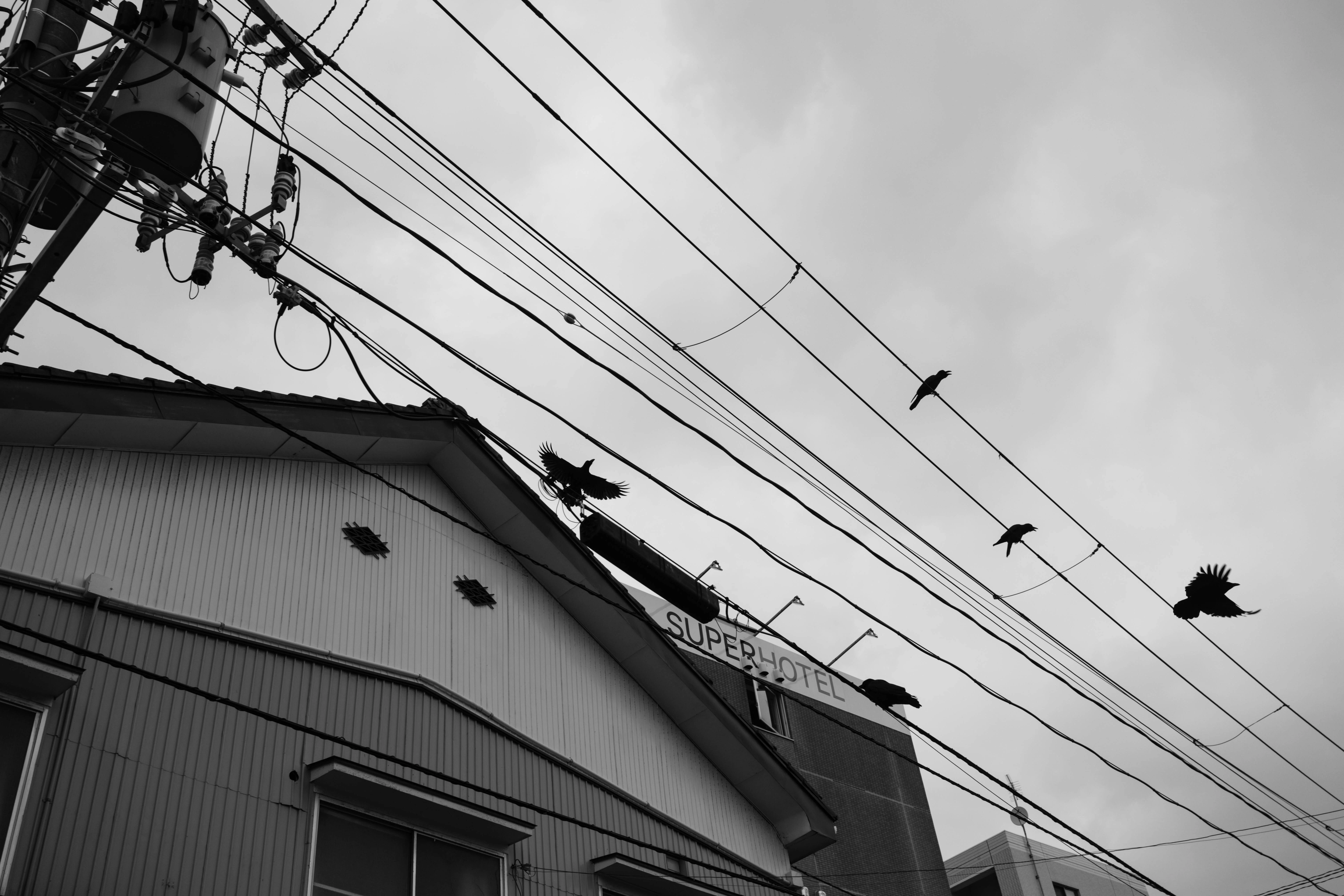FUJIFILM X-E5 / 入学試験とフィルムシミュレーション｜chiba