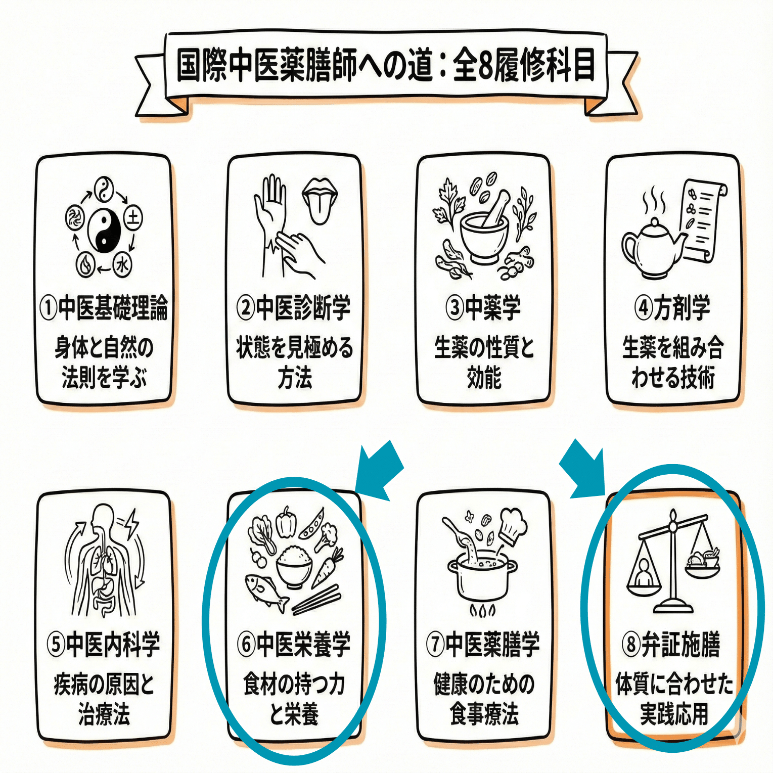 レア 中医学 薬膳 DVD 115枚 中医基礎理論 診断学 中薬剤 食材学 他 よくわかる漢方・薬膳 - 自由国民社