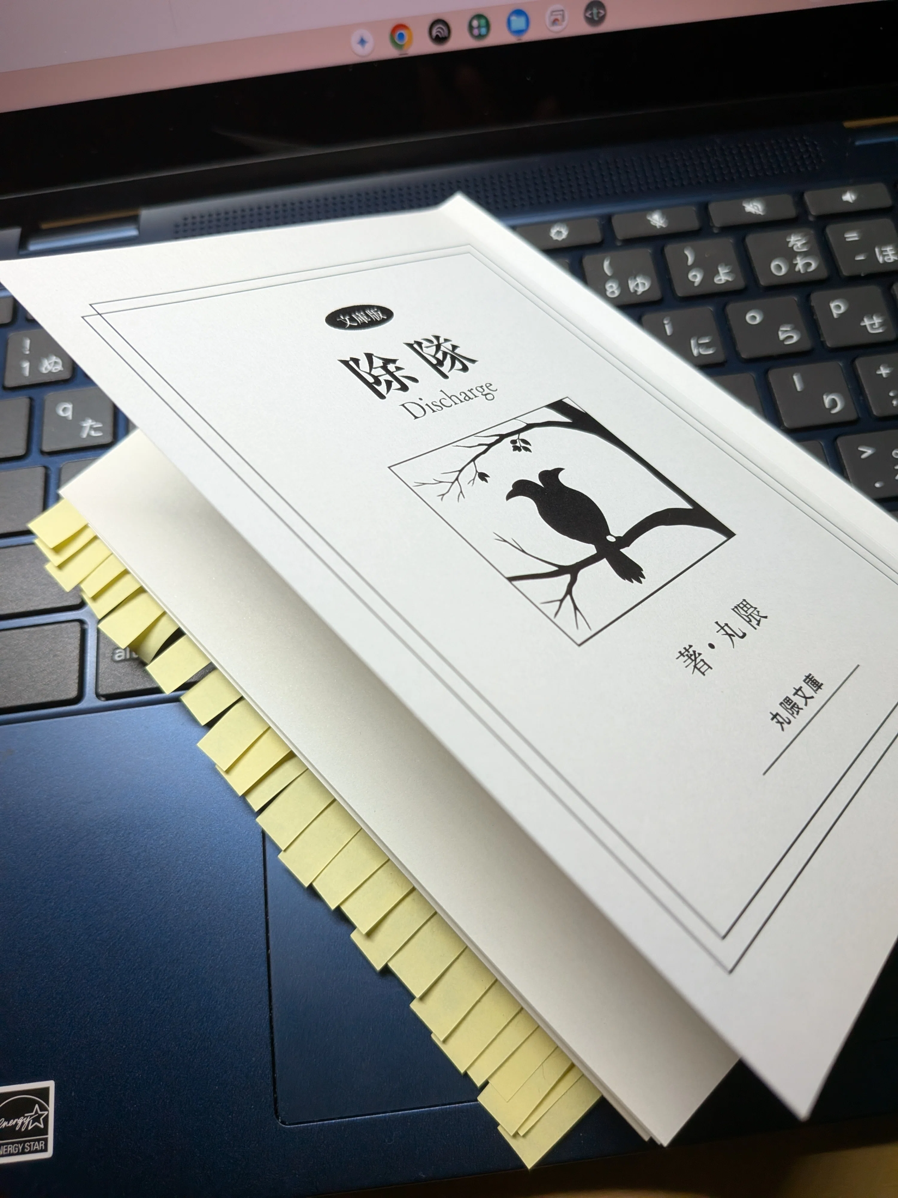 小説同人誌の作成記録（表紙）｜丸隈
