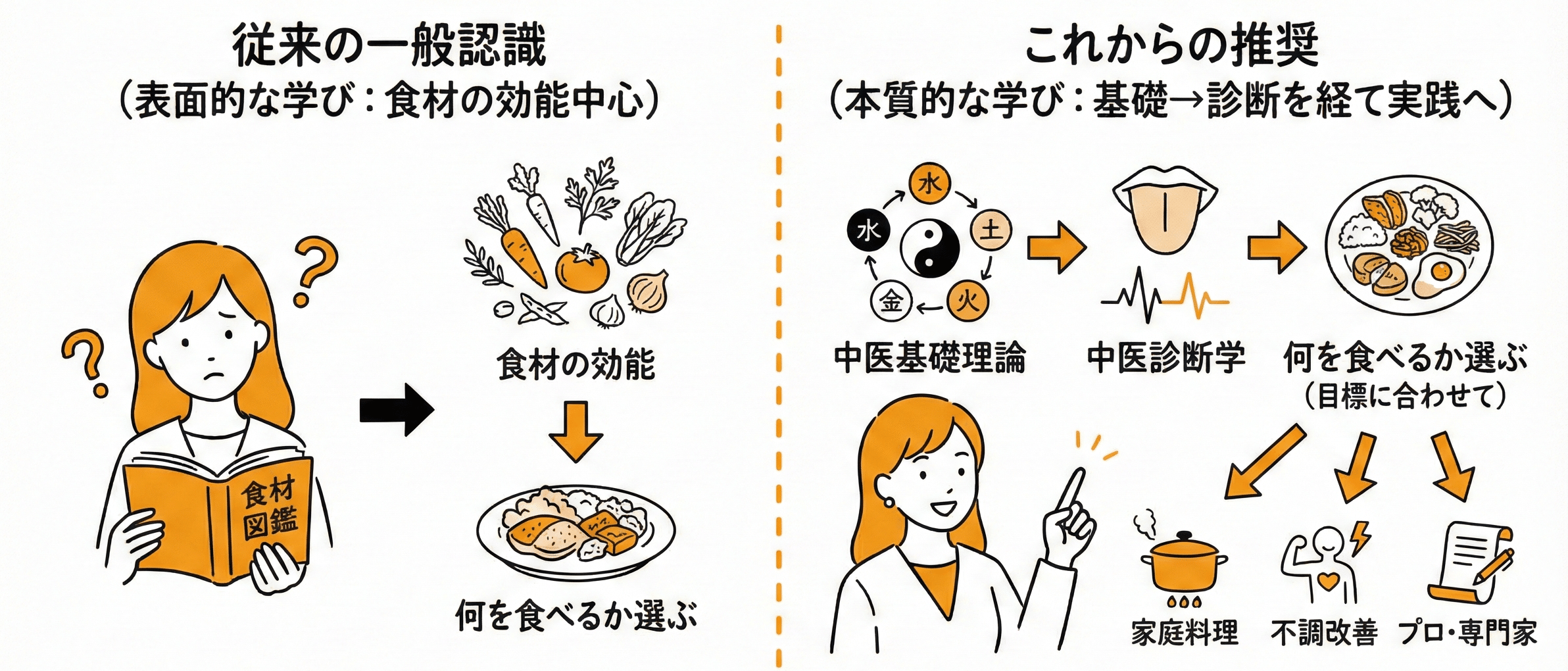 レア 中医学 薬膳 DVD 115枚 中医基礎理論 診断学 中薬剤 食材学 他 Amazon.co.jp: 薬膳のための中医学5中医薬膳学 基礎から薬膳師試験