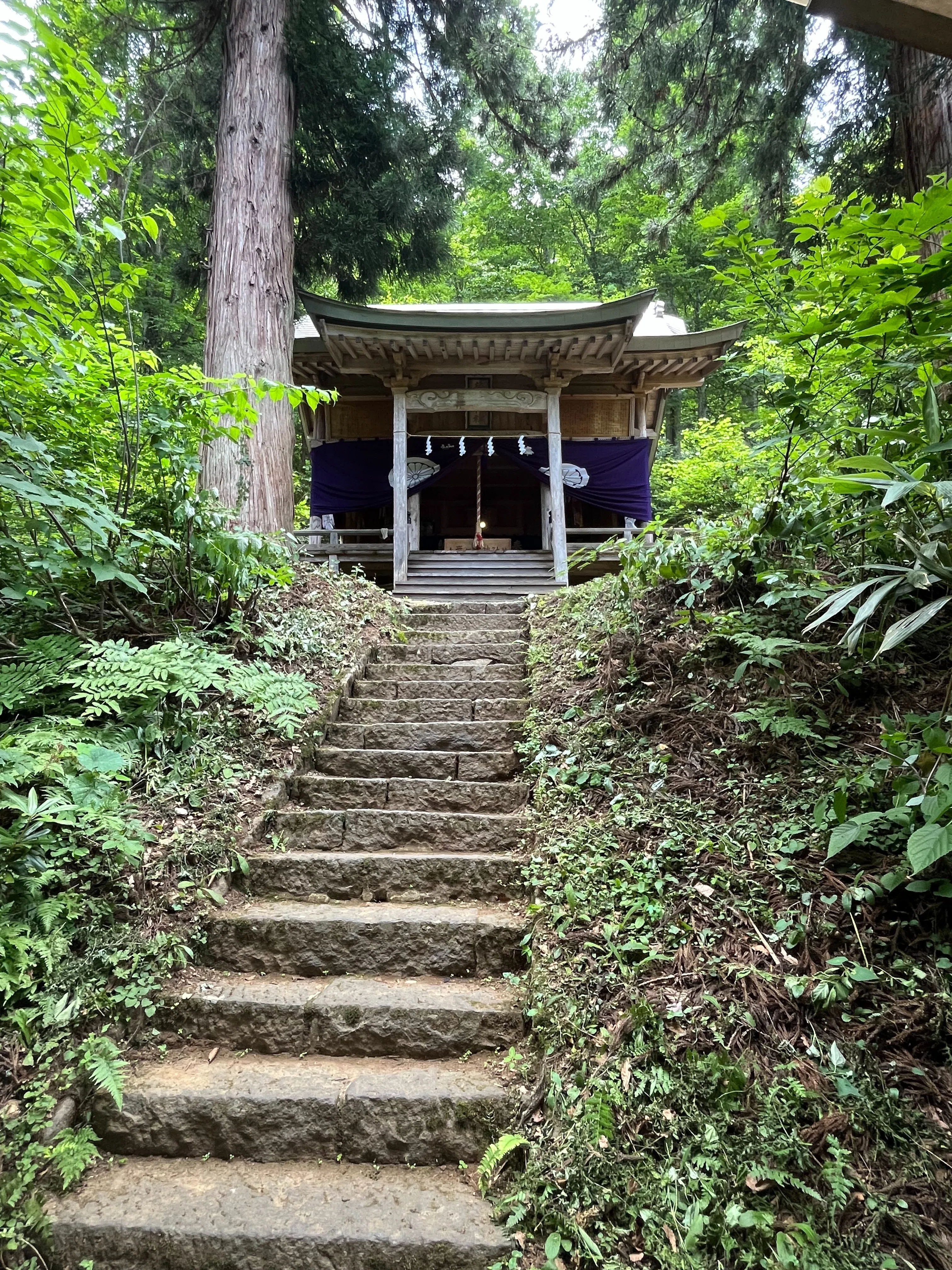 龍神伝説の残る池「龍ヶ窪」｜にこ舟