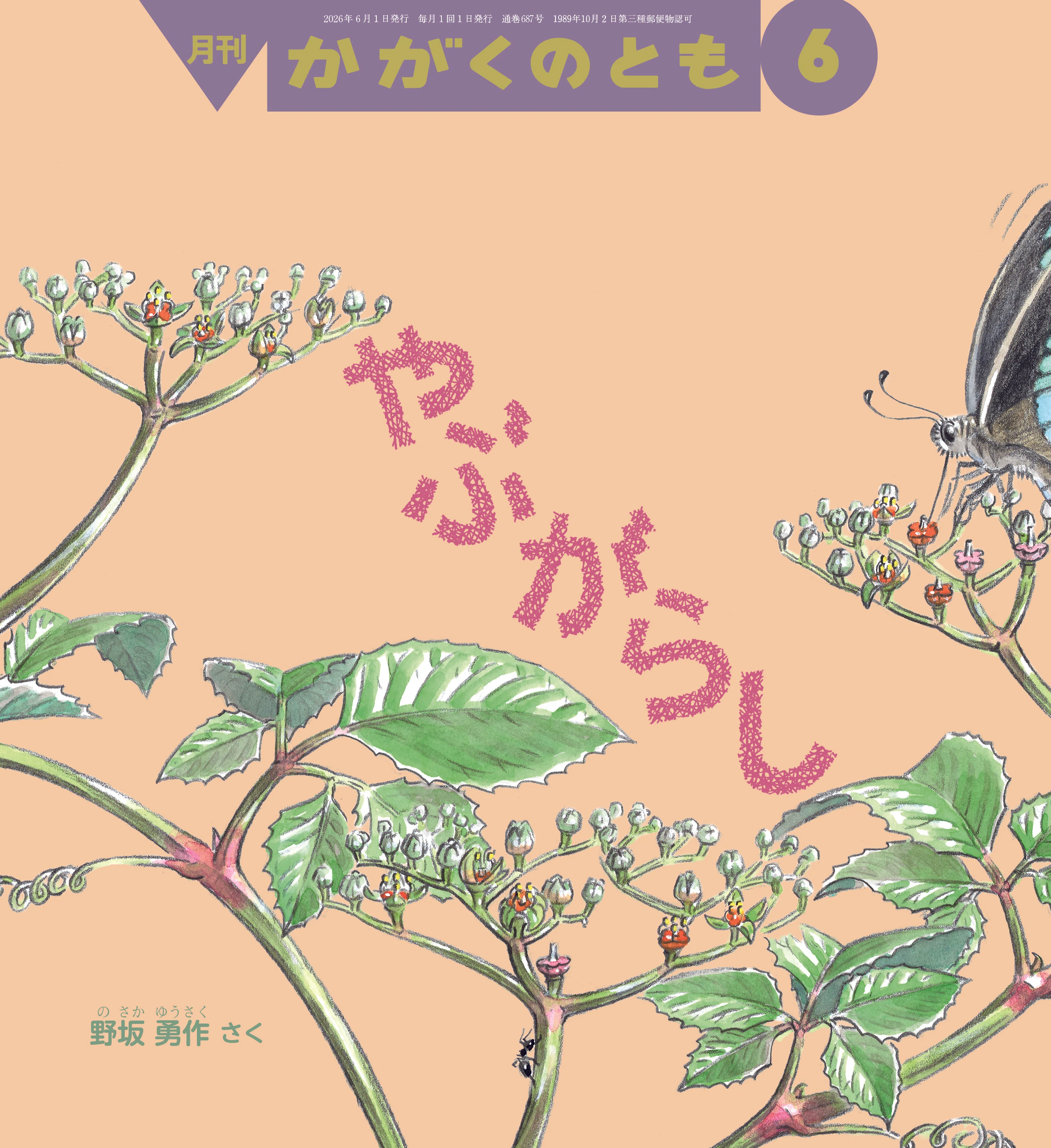 かがくのとものとも 2026年6月号｜かがくのとものとも