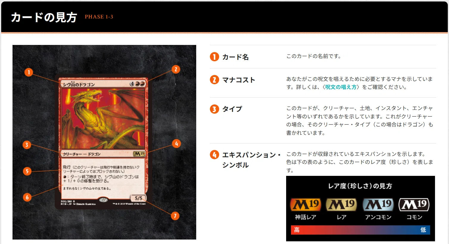 試行錯誤編】MTGの「両面カード」や「分割カード」を正しく認識させる 
