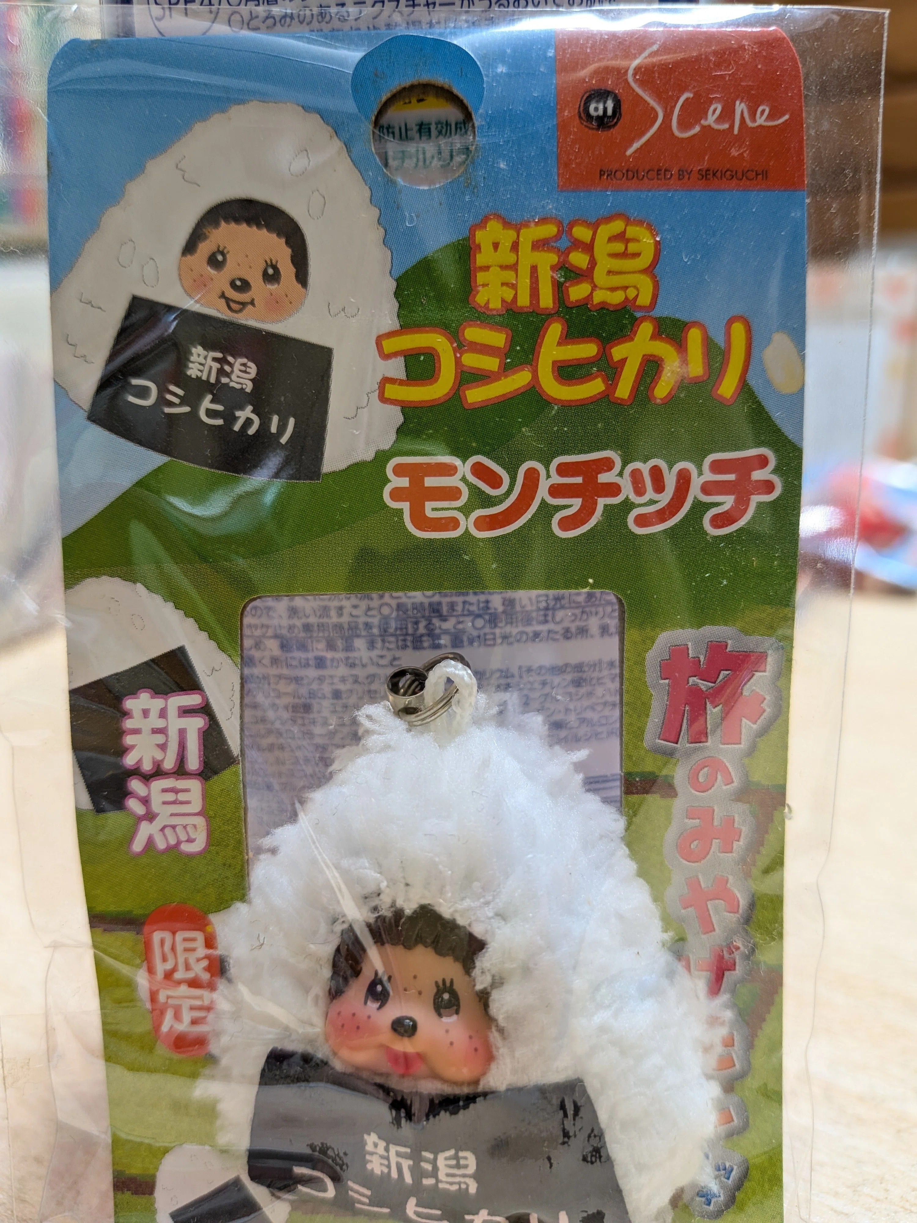 もう売ってない❝ご当地モンチッチ❞のコレクションをちょっとずつご