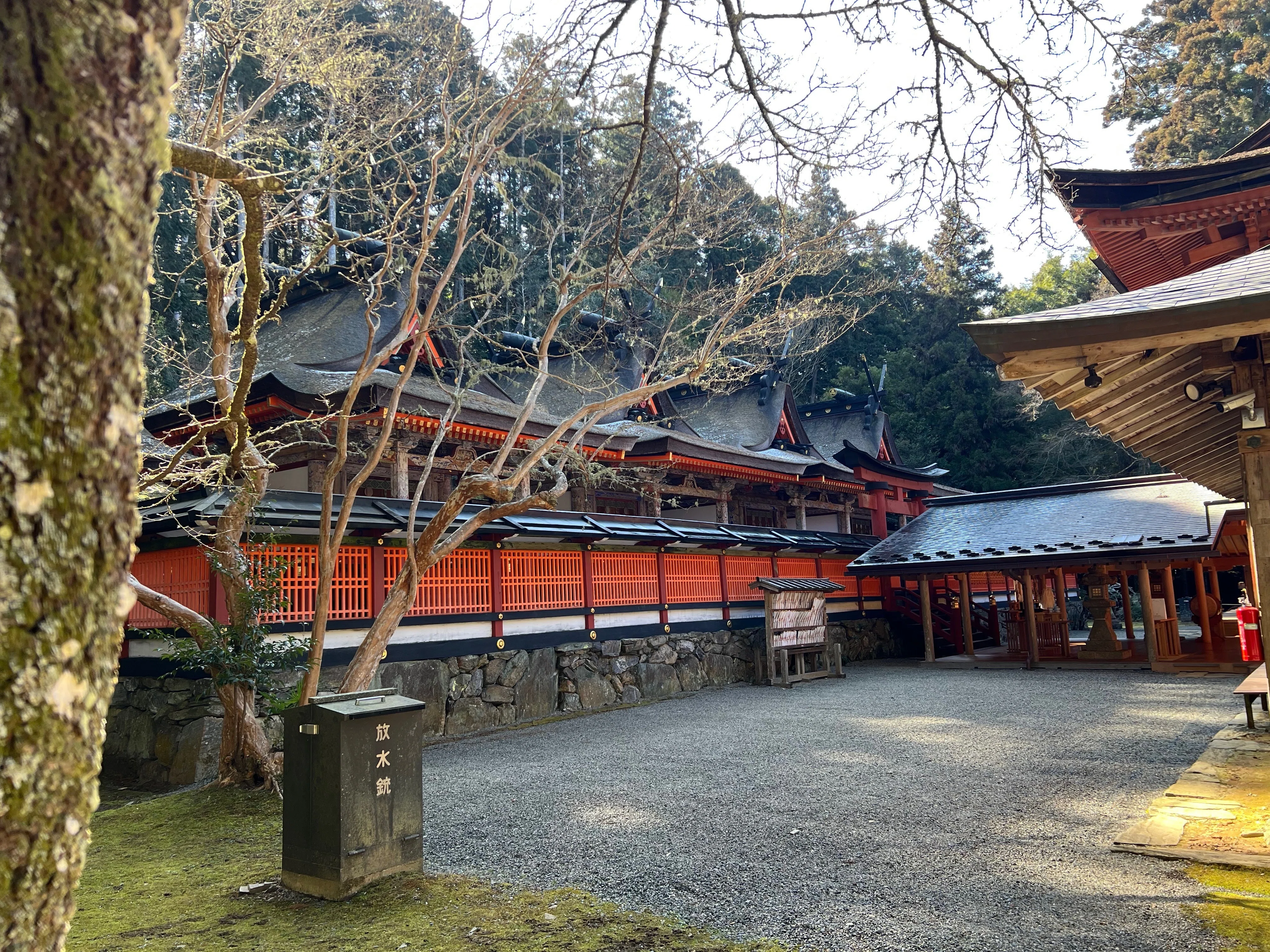 2026.2.4. 丹生都比売神社｜ひろさん