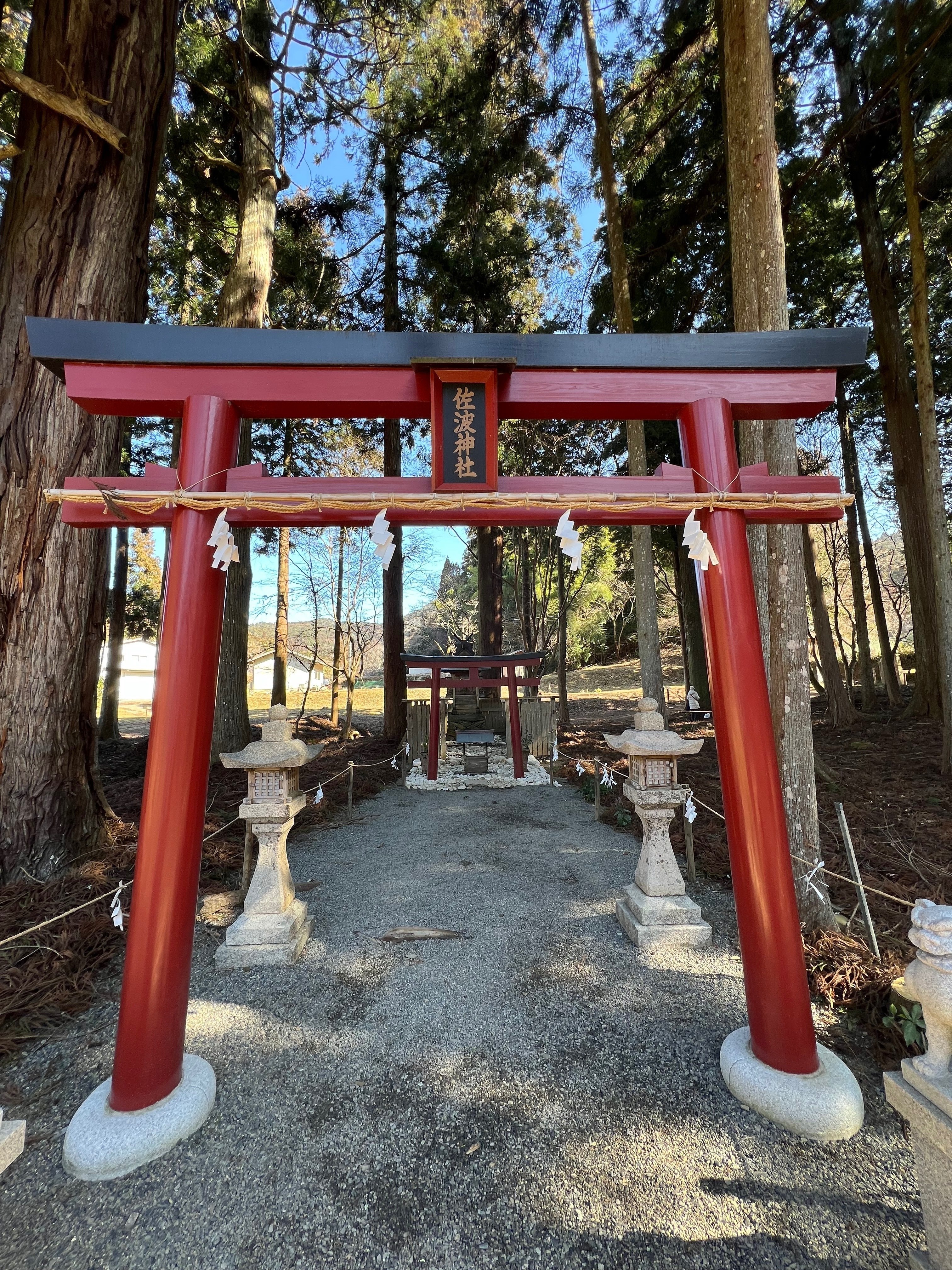 2026.2.4. 丹生都比売神社｜ひろさん