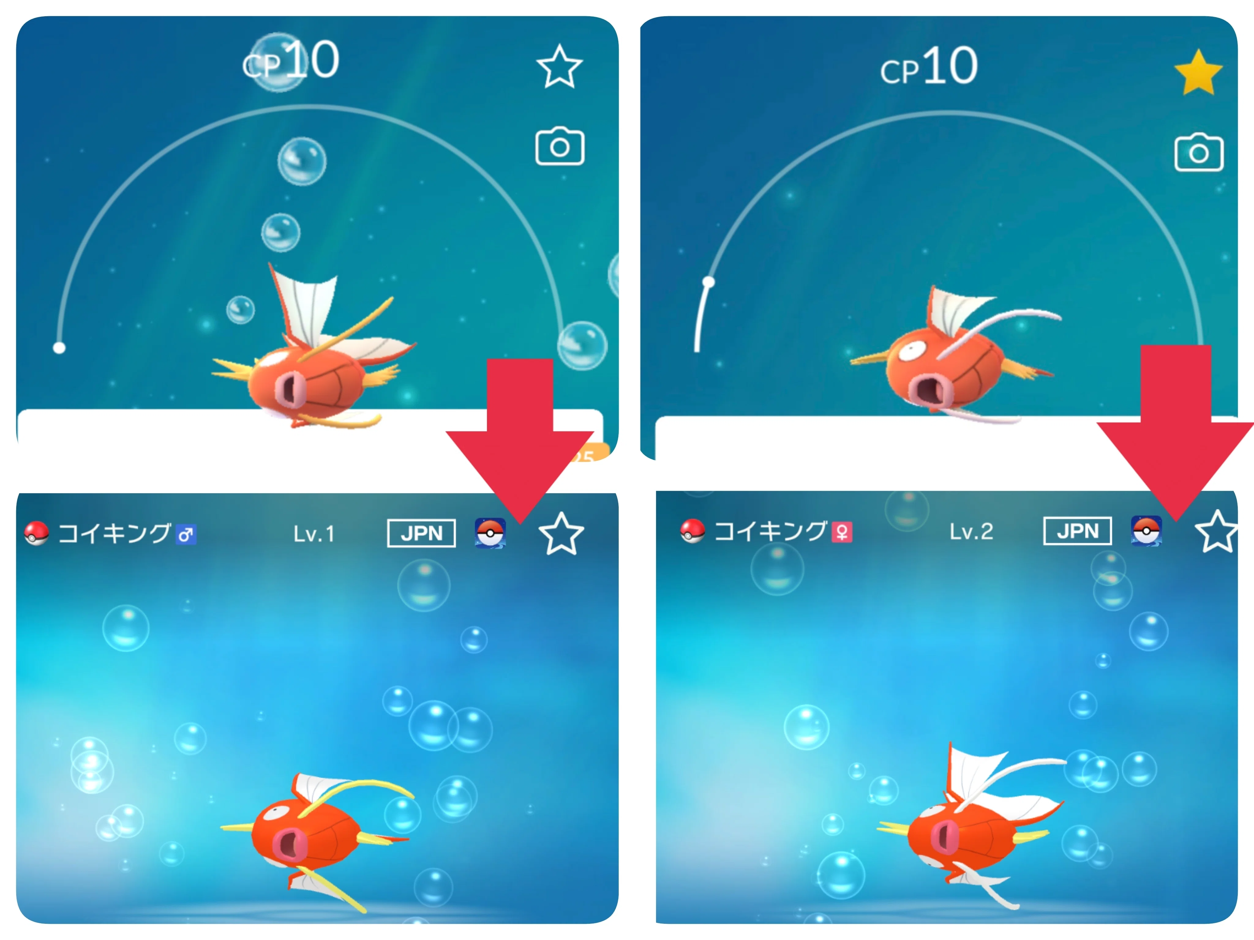 ポケモンGO]ポケモンホームへ輸送する個体の考慮｜がみ