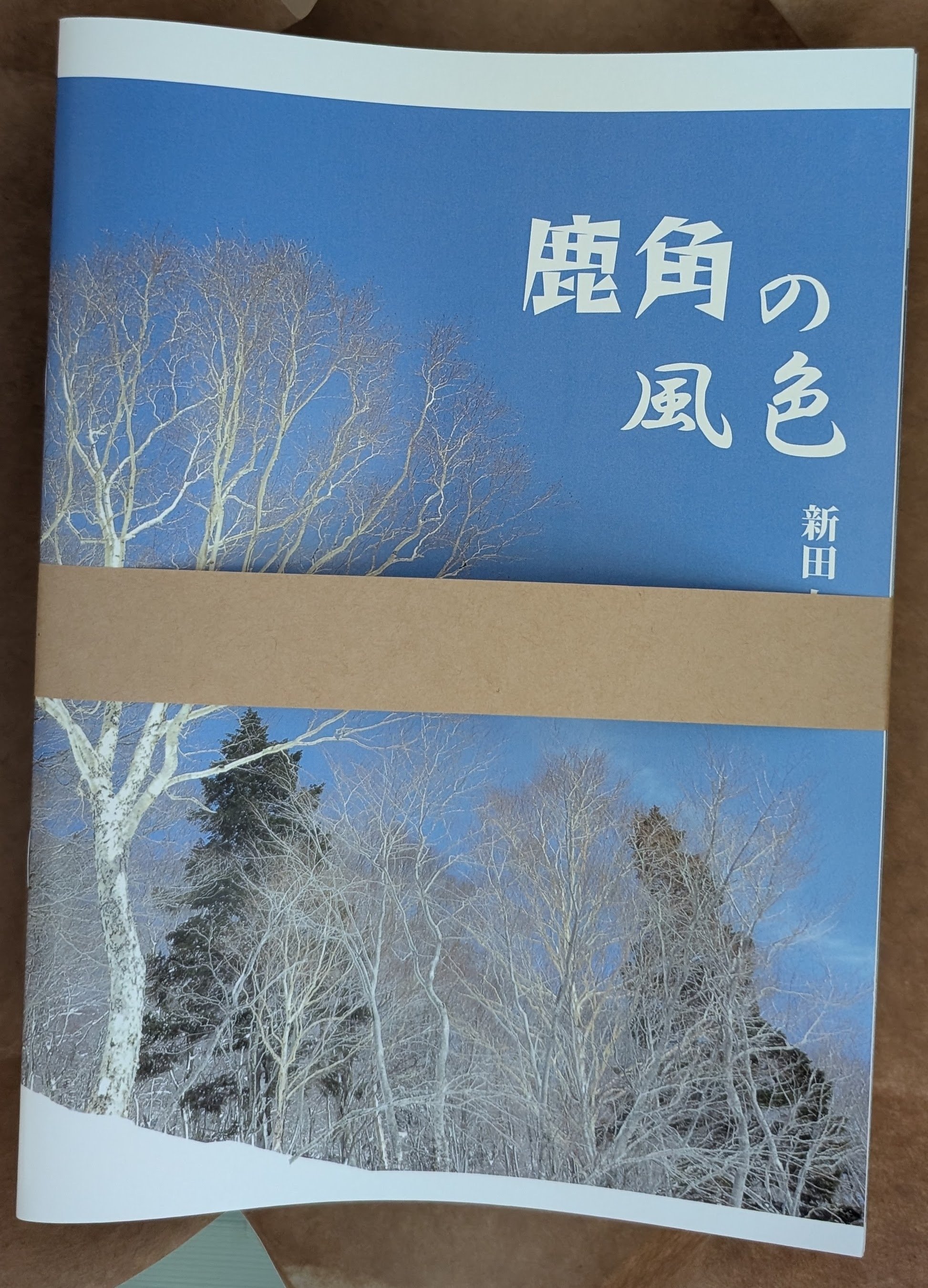 写真集を作ってみよう 4｜えんぼう