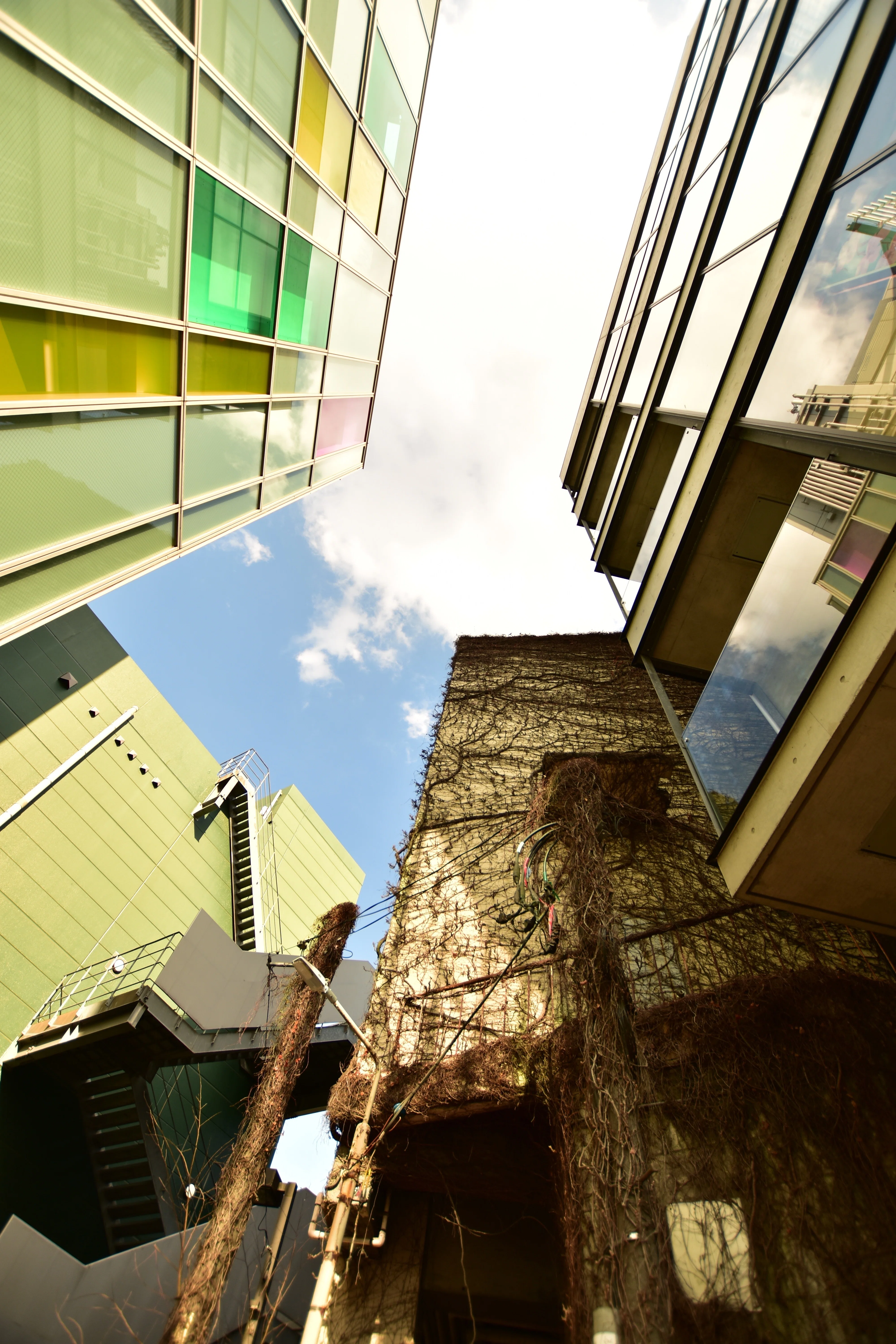 SIGMA 10-20mm F3.5 EX DC HSM、初めての広角レンズを試し撮り＠TOKYO