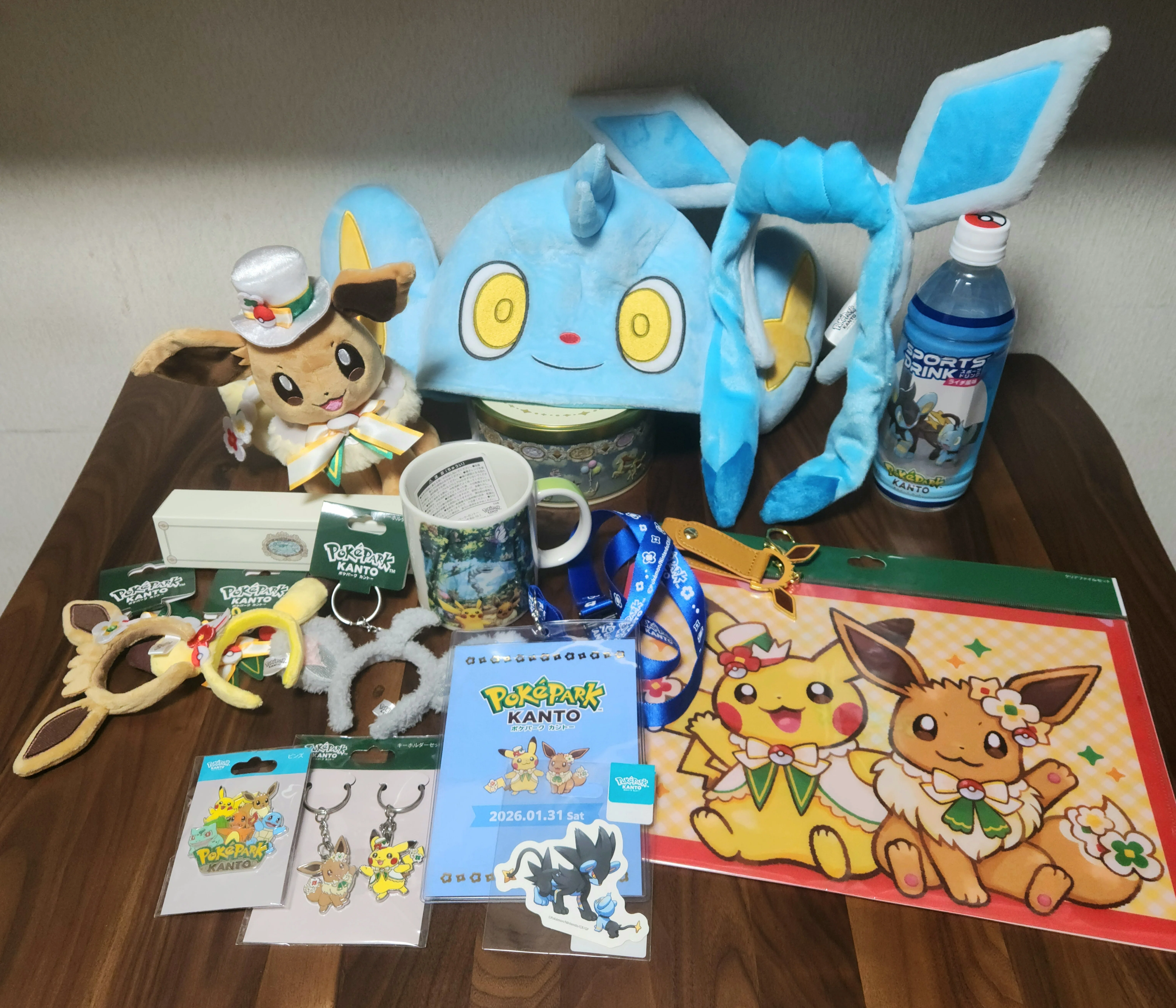 ポケパークカントー KANTO ピンバッジ ブイズ全種 カチューシャ 【公式