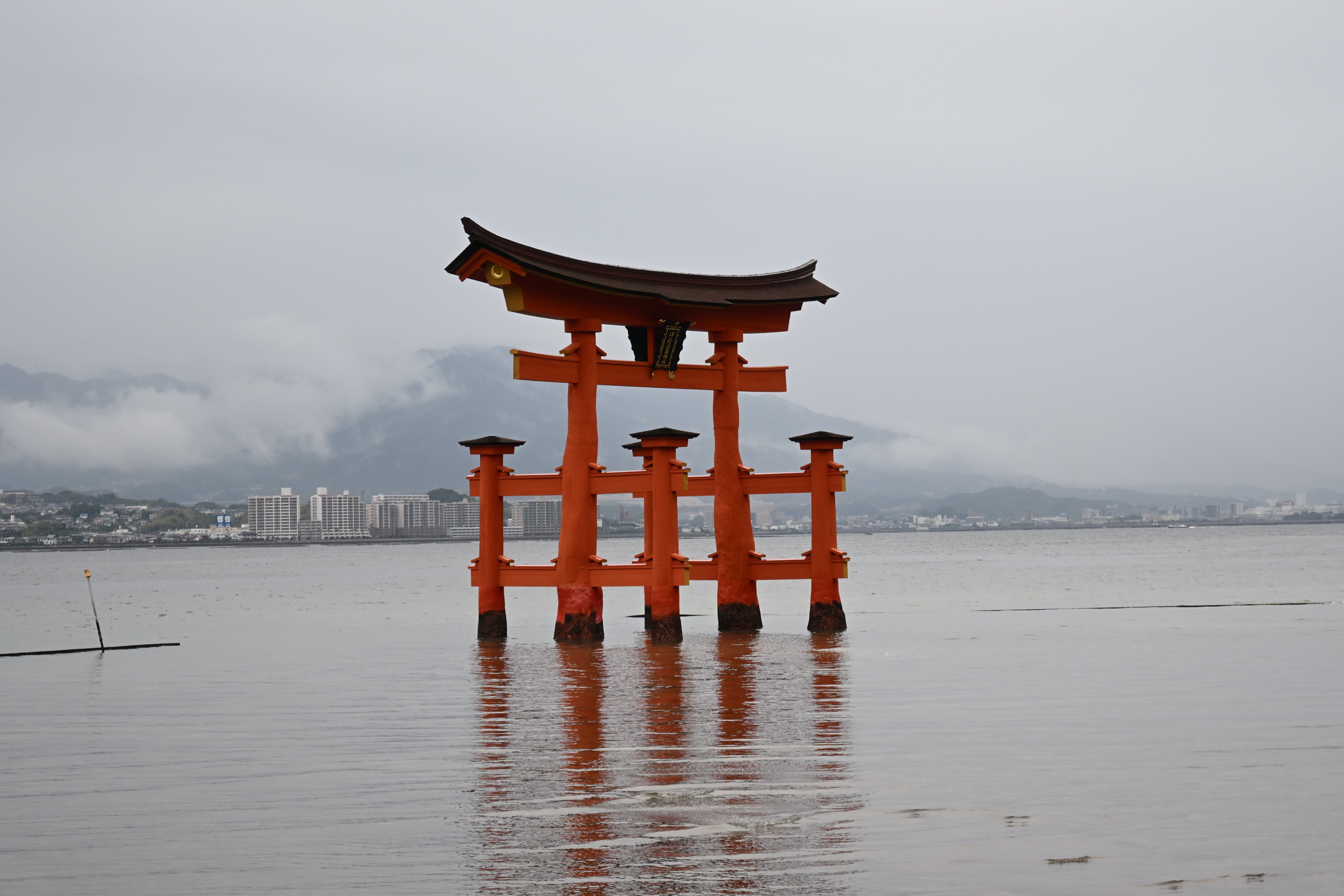 20251025_宮島【Nikon Z50IIと観光】｜山ネズミ