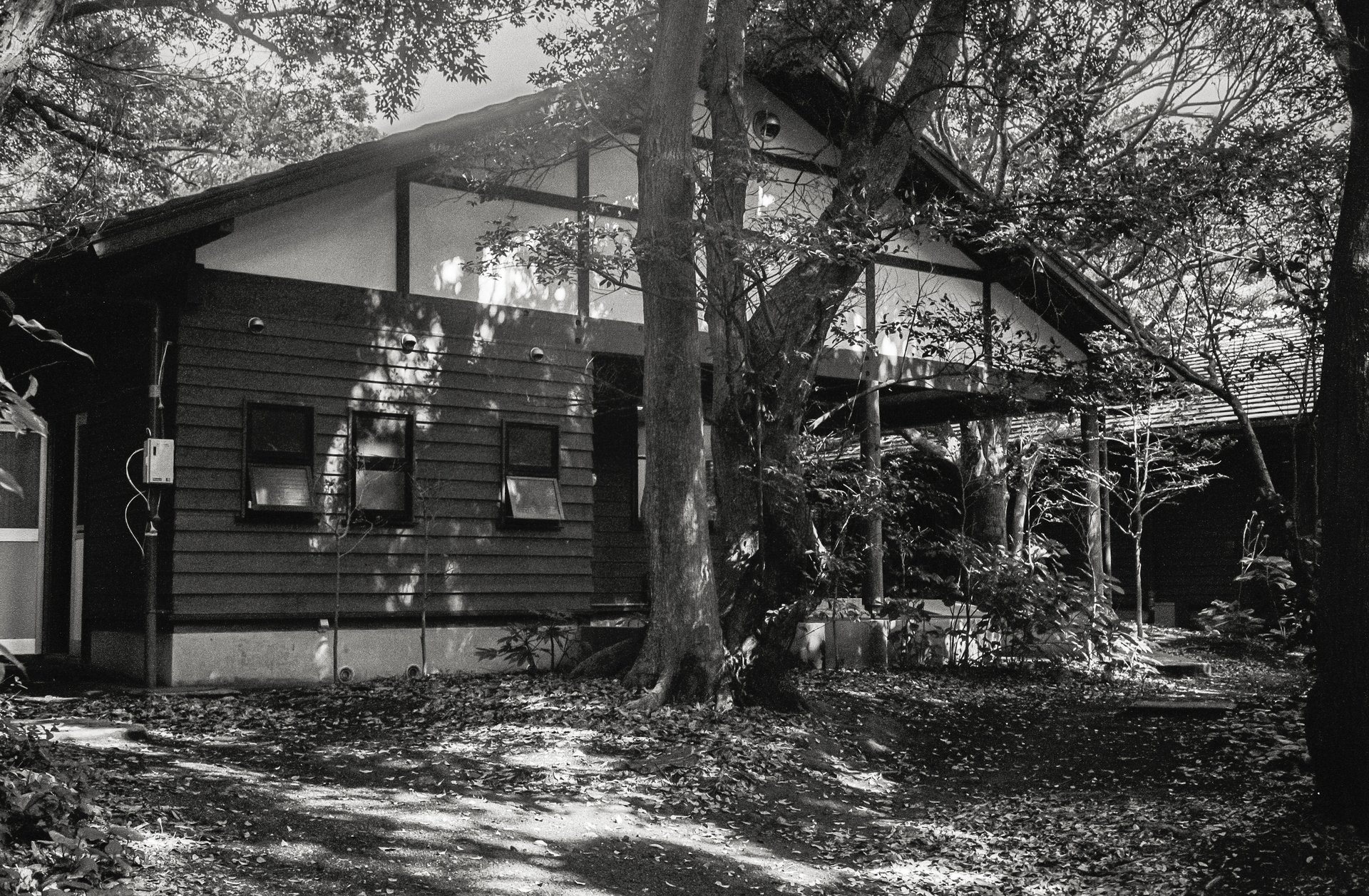 時のオカメラ #08／Voigtländer Bessa R3A ⑧ | 三宅島｜LumiXel