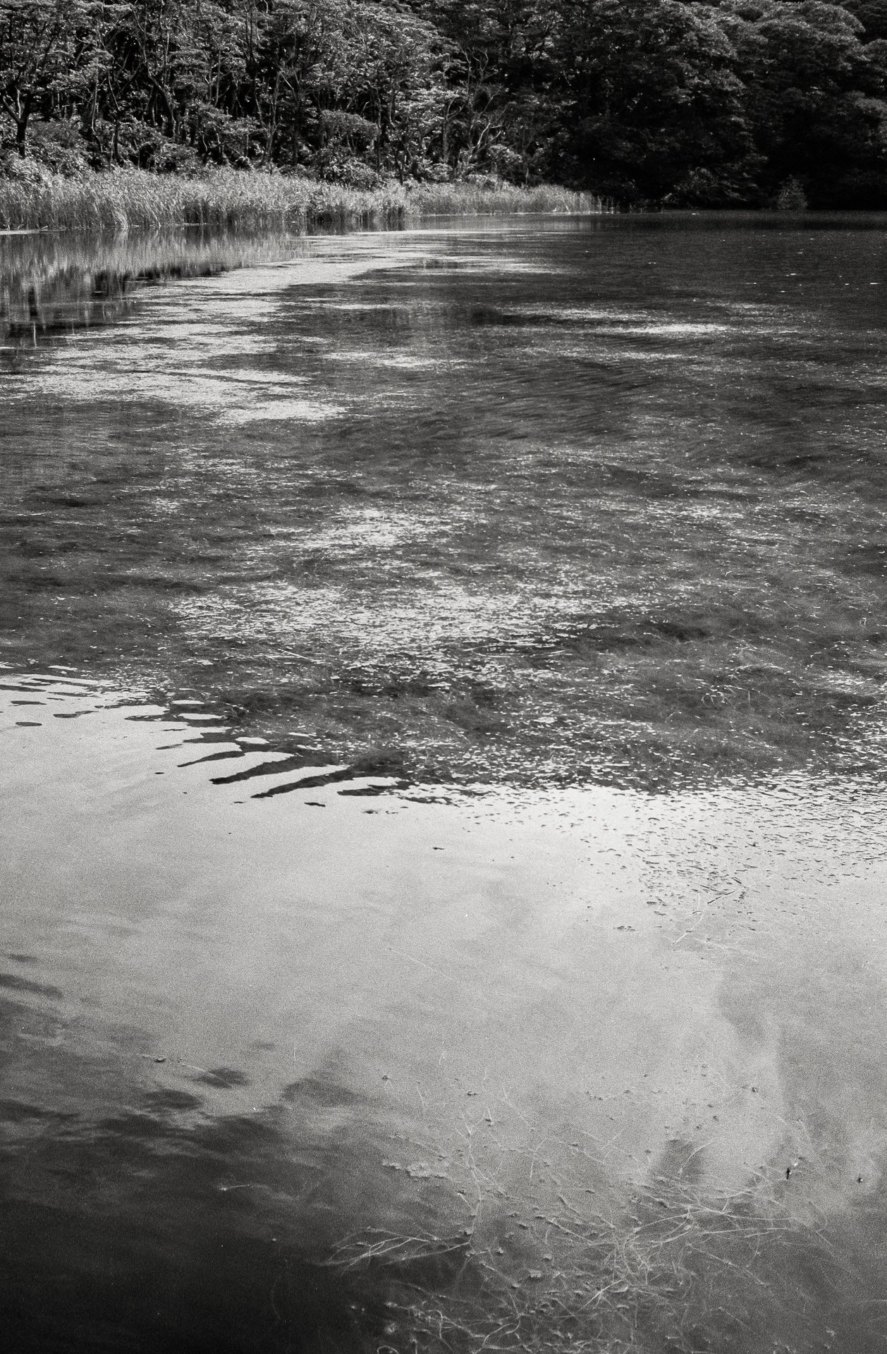 時のオカメラ #08／Voigtländer Bessa R3A ⑧ | 三宅島｜LumiXel