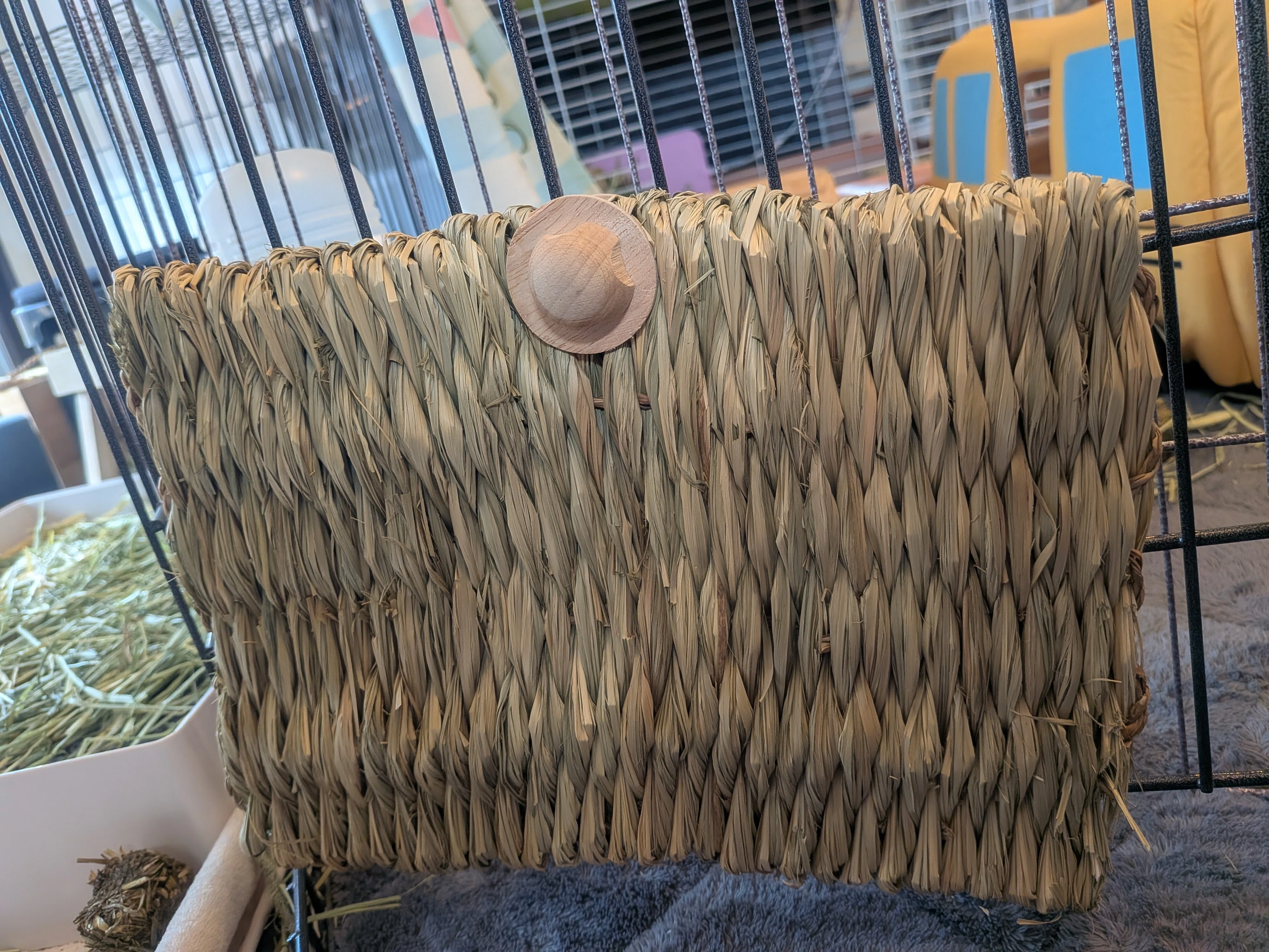 家もうさぎも死守したい！うさぎの破壊活動に対する「徹底防衛策」①
