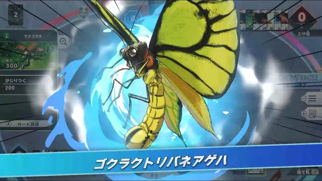 ゴクラクトリバネアゲハ ゴクラクトリバネアゲハが好き｜九日（このえ）