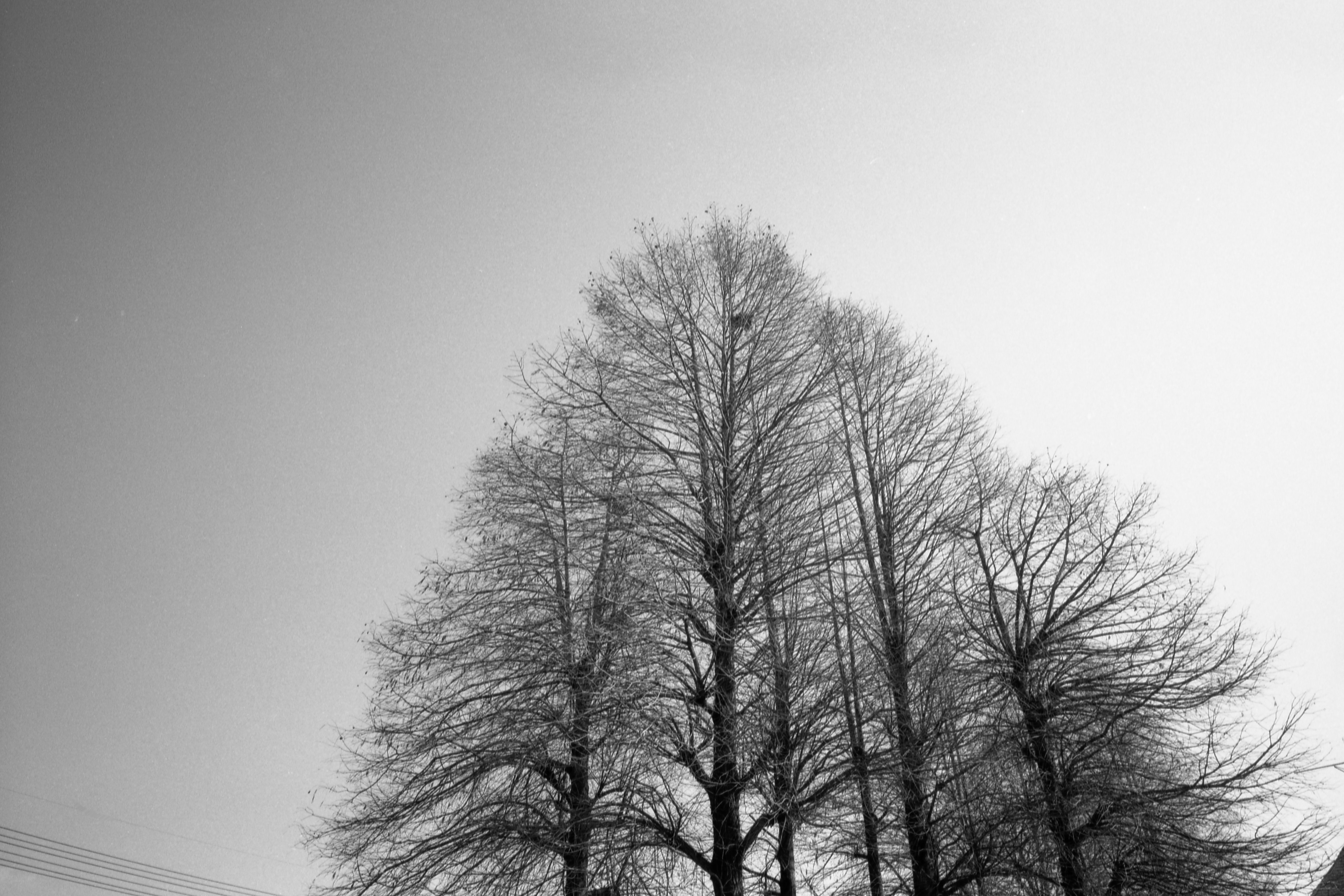 21mmのジレンマ、続き。｜Miyake