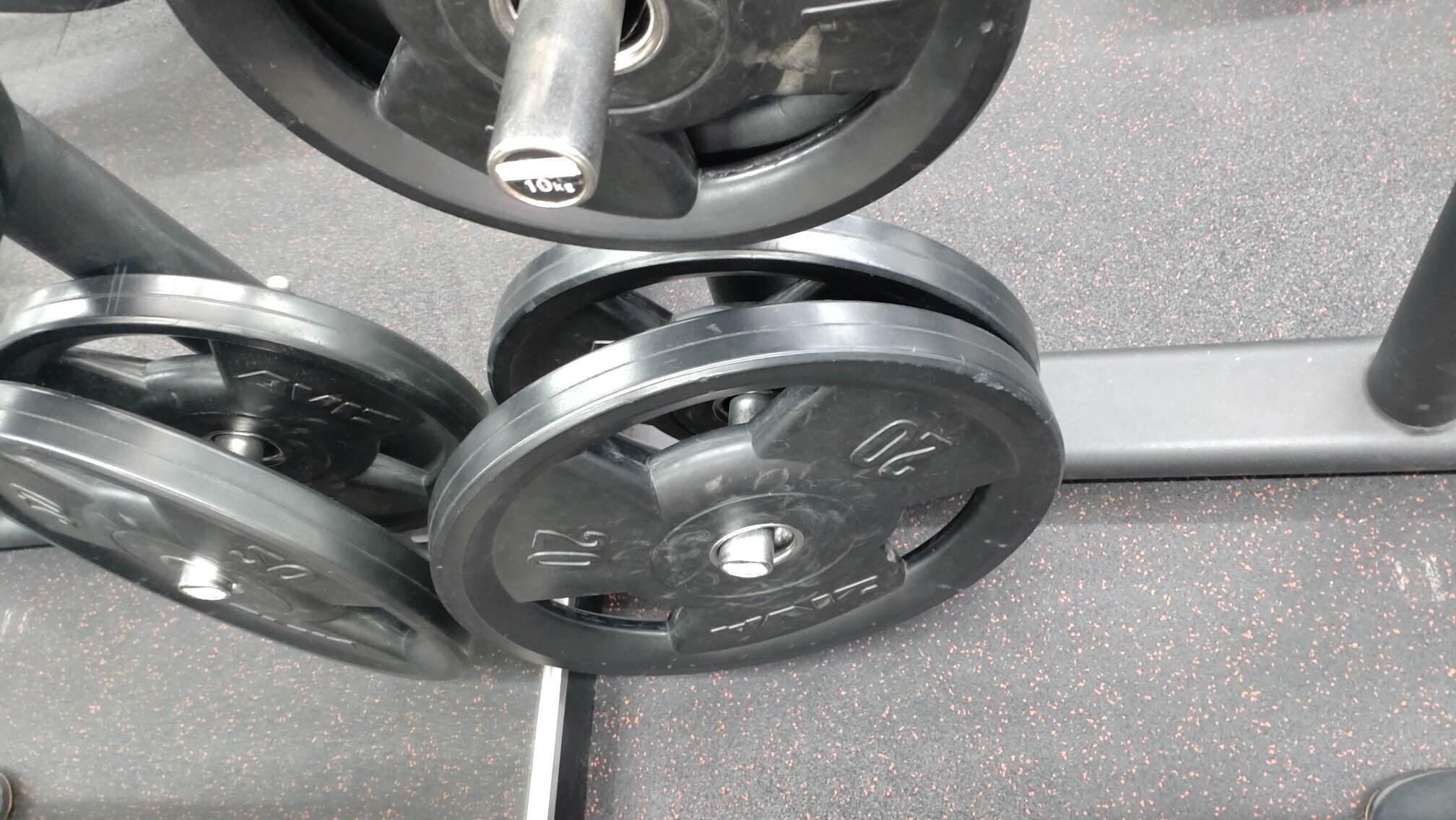 がんばったね…ゴエモン…｜青山羊