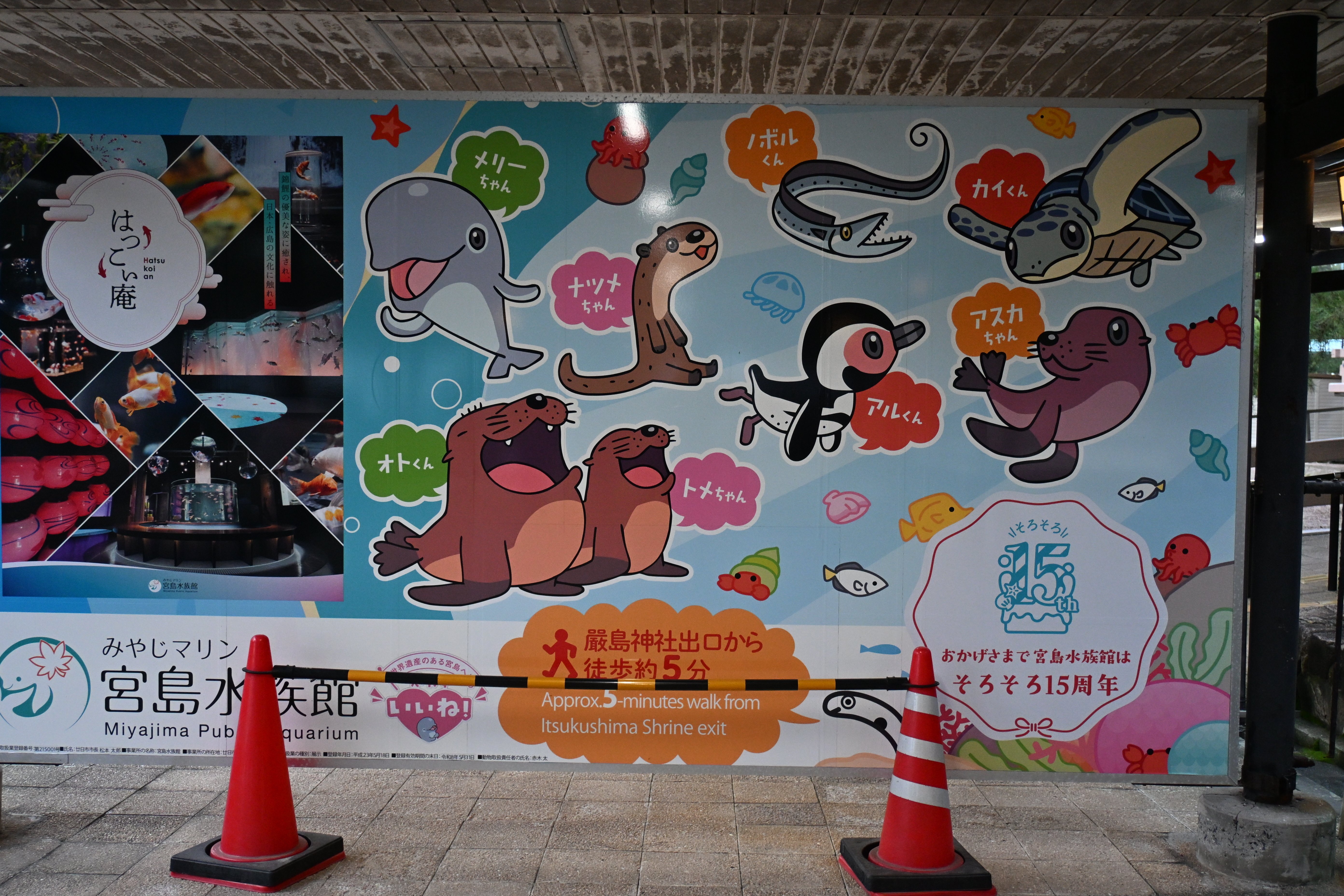 20251025_宮島【Nikon Z50IIと観光】｜山ネズミ