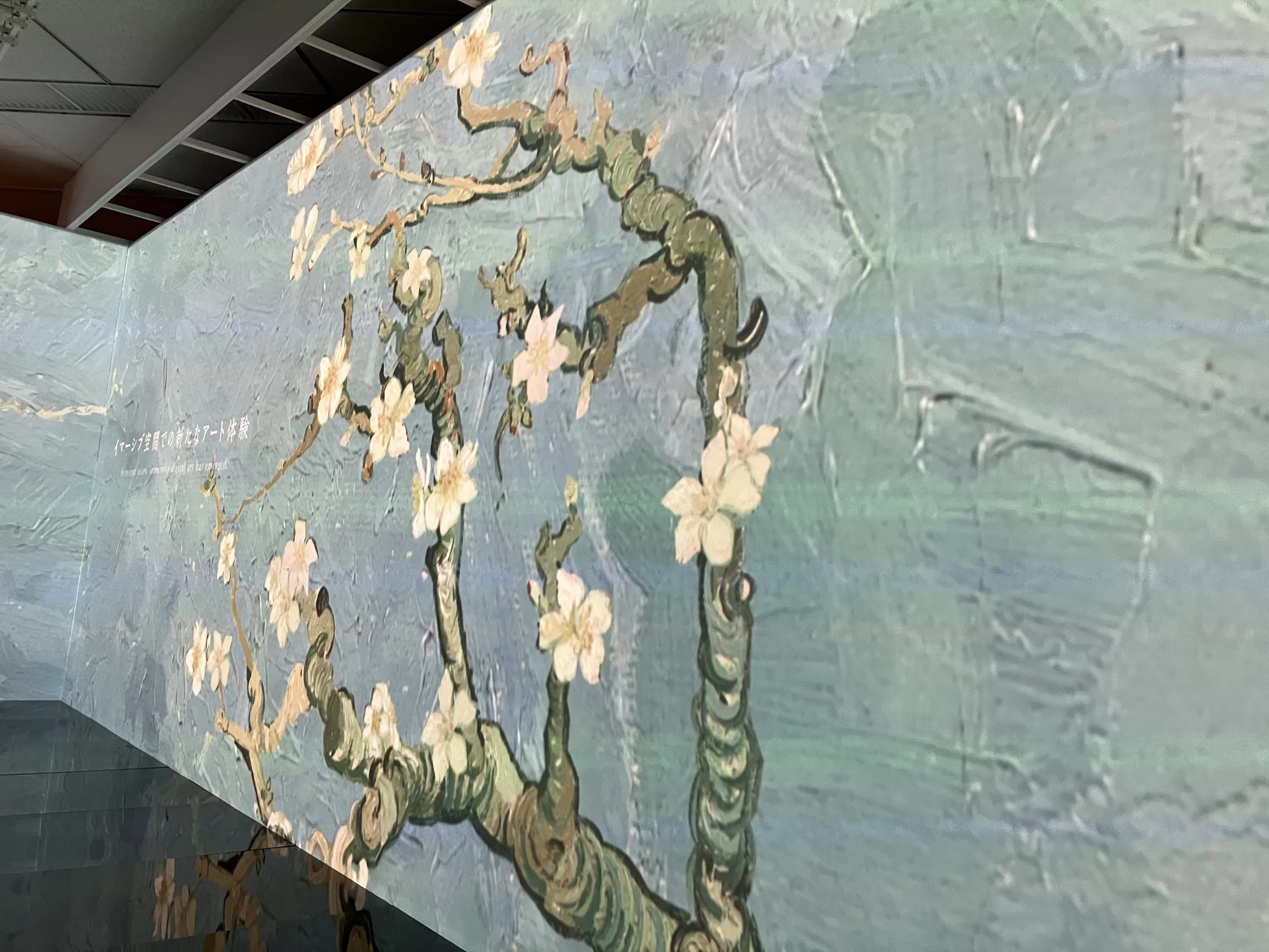 ⑲家族と繋いだ生きるを問う遅咲きの名画家/ゴッホ展(台東区/東京都