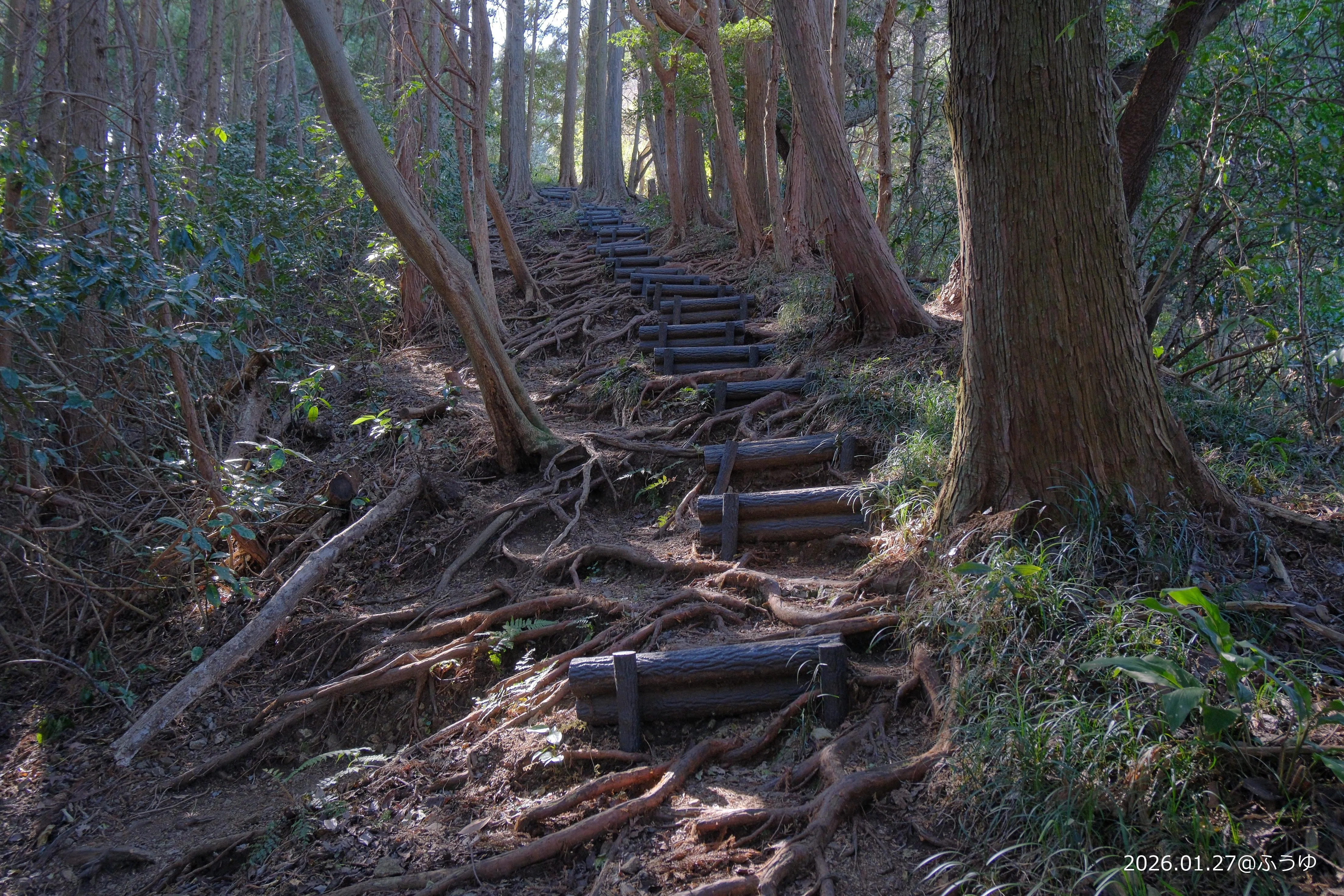 山歩き記録 第124歩】満観峰～高草山（2026年1月27日）【柑橘香る焼津