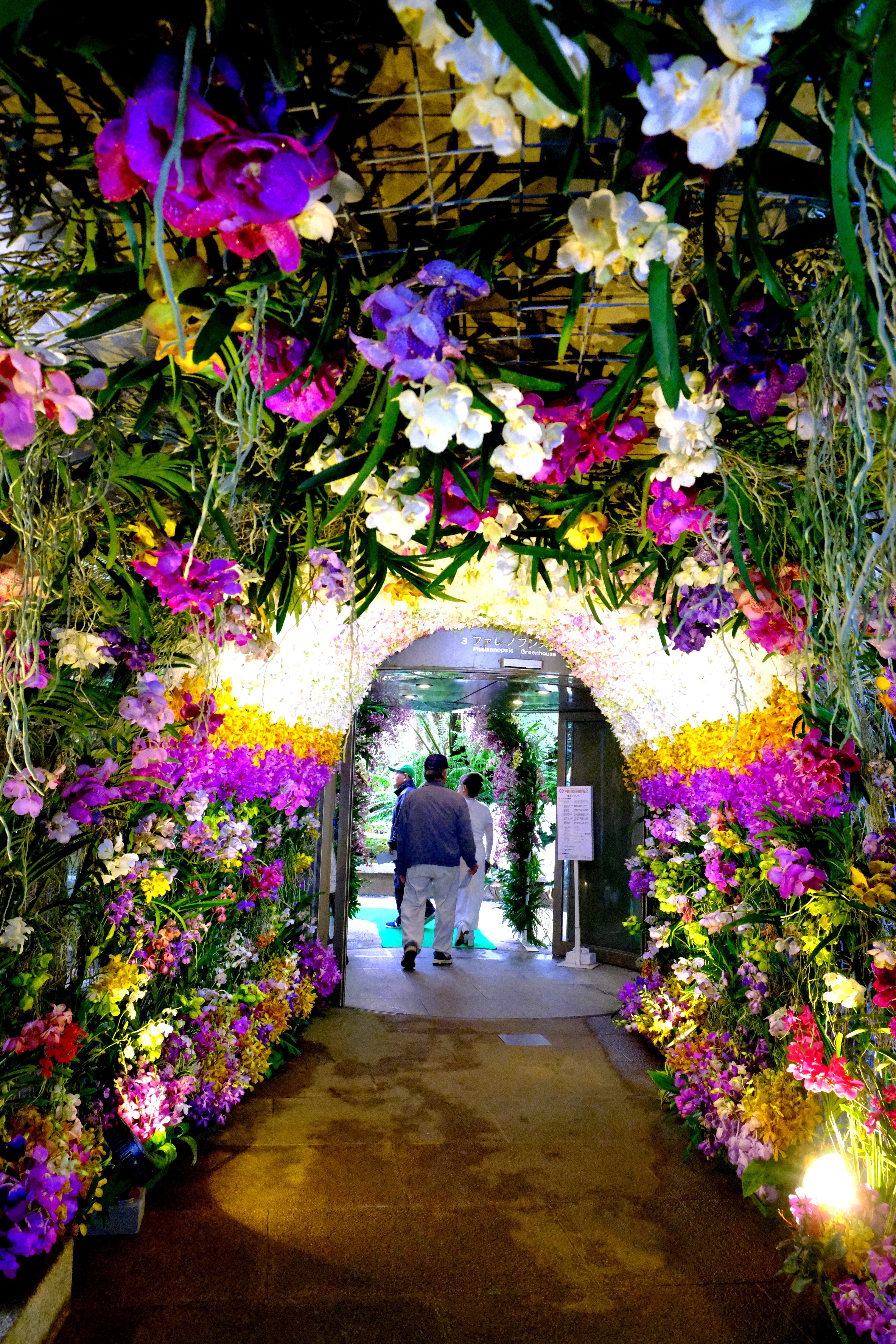 沖縄国際洋蘭博覧会でランの花を満喫する｜Heira.K