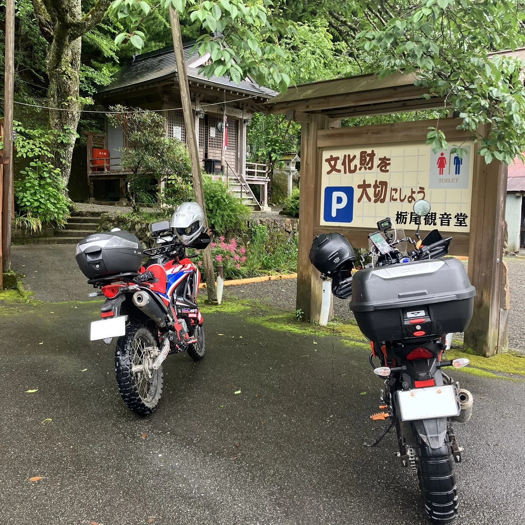 Motovlog] The Border to Another World. Riding the 'Kawakawa