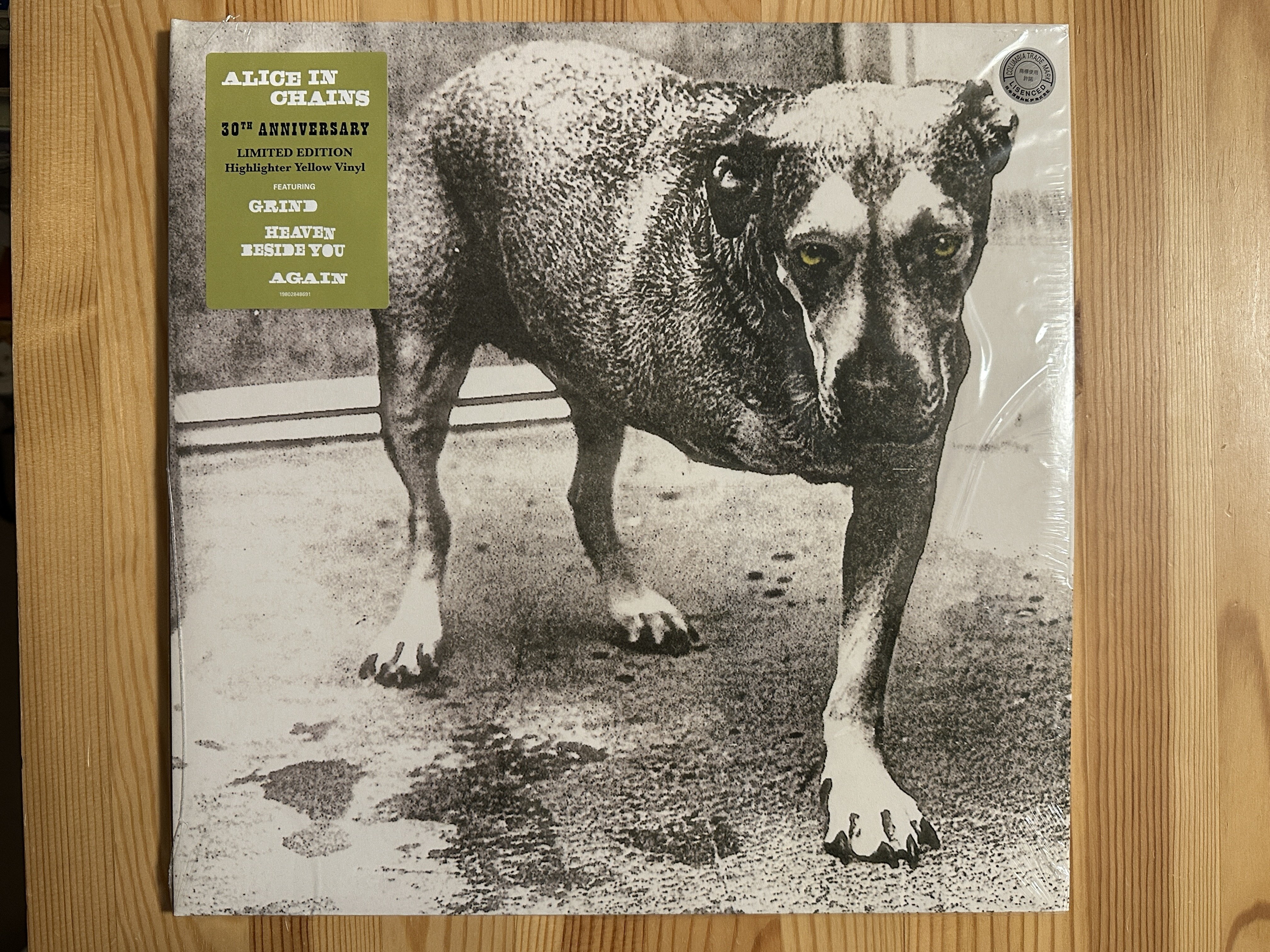 セルフタイトル30周年記念エディション｜Saki