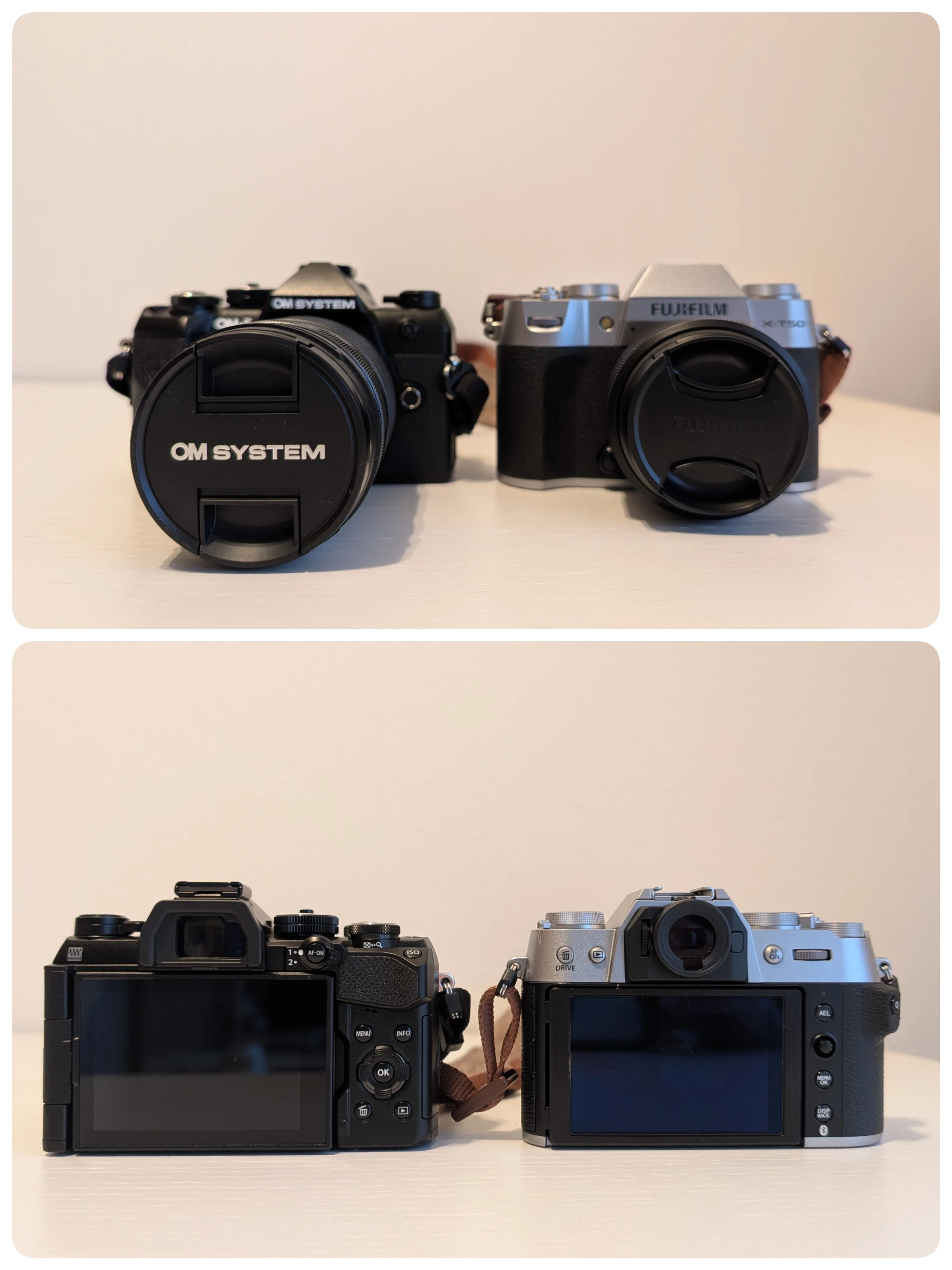 望遠用にサブカメラを買いました【OM-5 MarkⅡ】｜にーこ