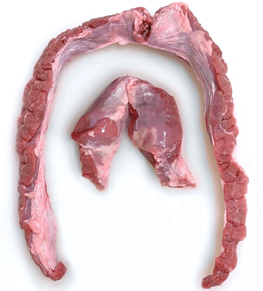 サガリページ これでわかった！「ハラミ」と「サガリ」｜ホルモン☆もいしょう