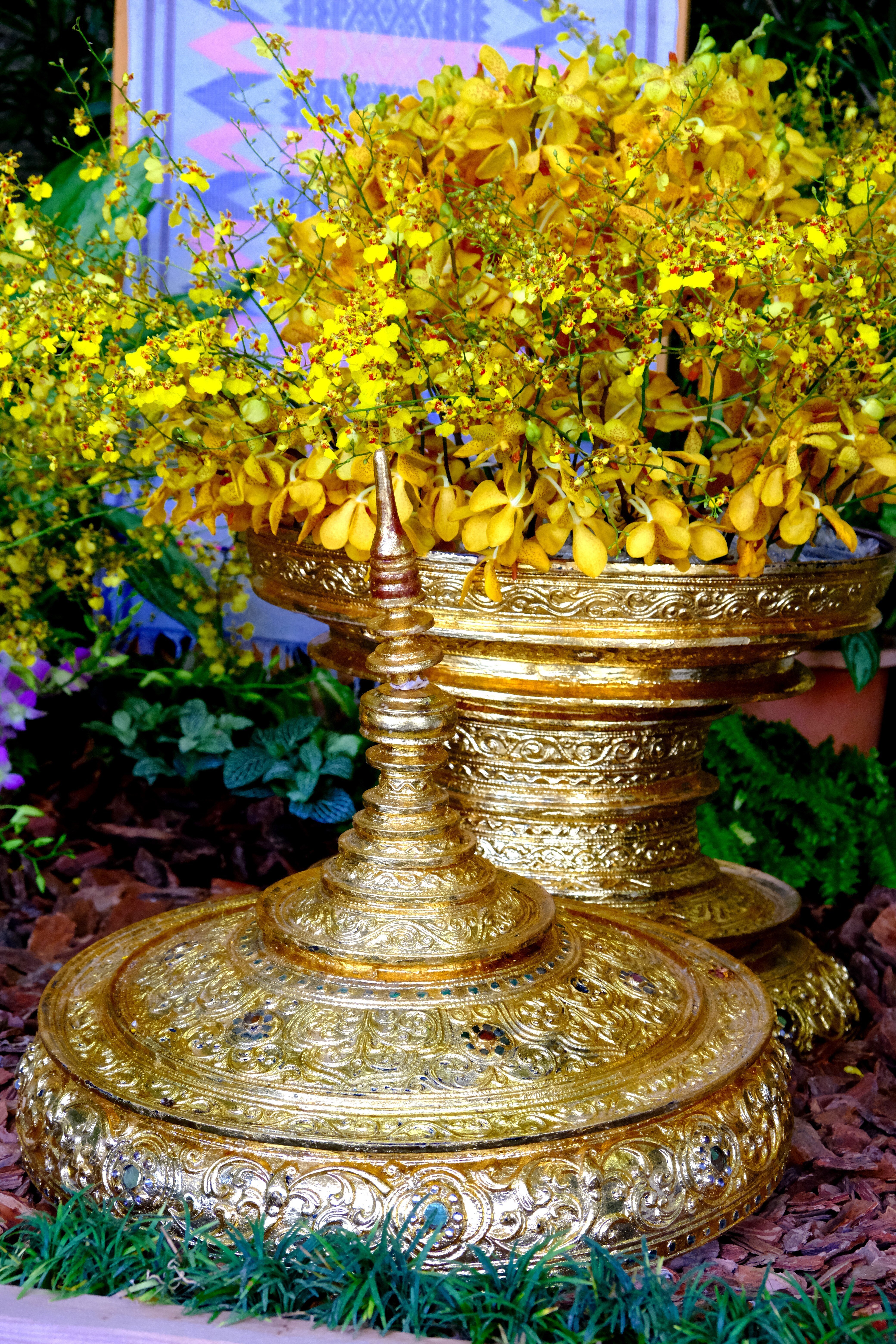 沖縄国際洋蘭博覧会でランの花を満喫する｜Heira.K