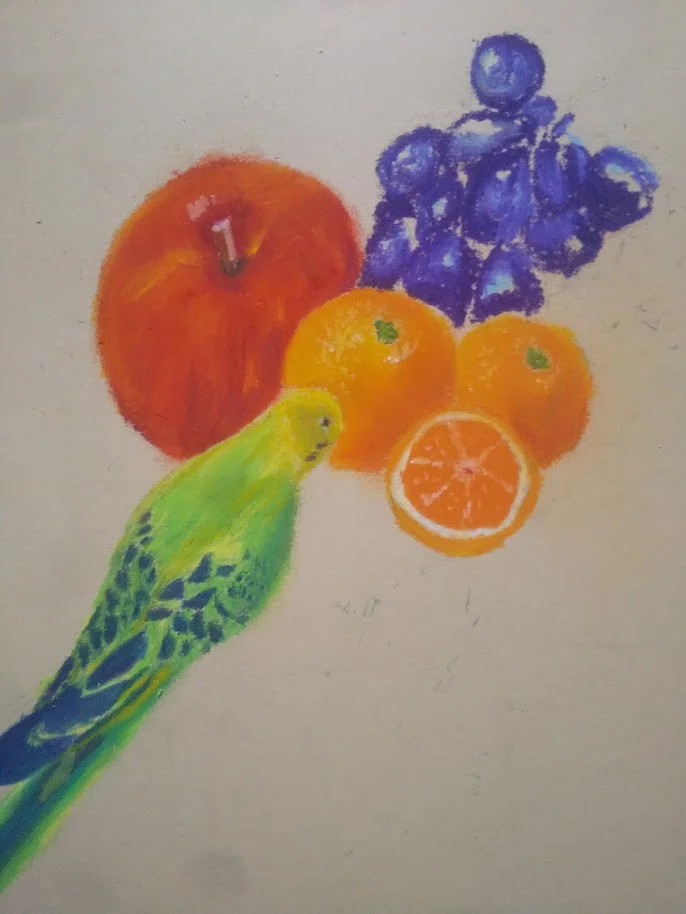 オイルパステルでペットの鳥を描く！！｜あこがれ習作ノート