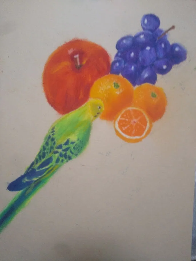 オイルパステルでペットの鳥を描く！！｜あこがれ習作ノート