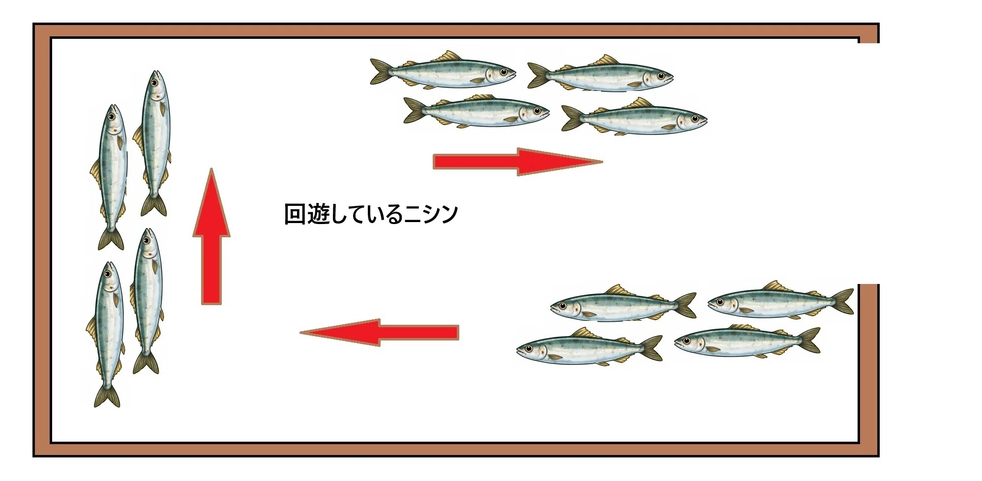 群来が始まりました・・ニシン釣りには・・電動シャクリ機 早い者勝ち