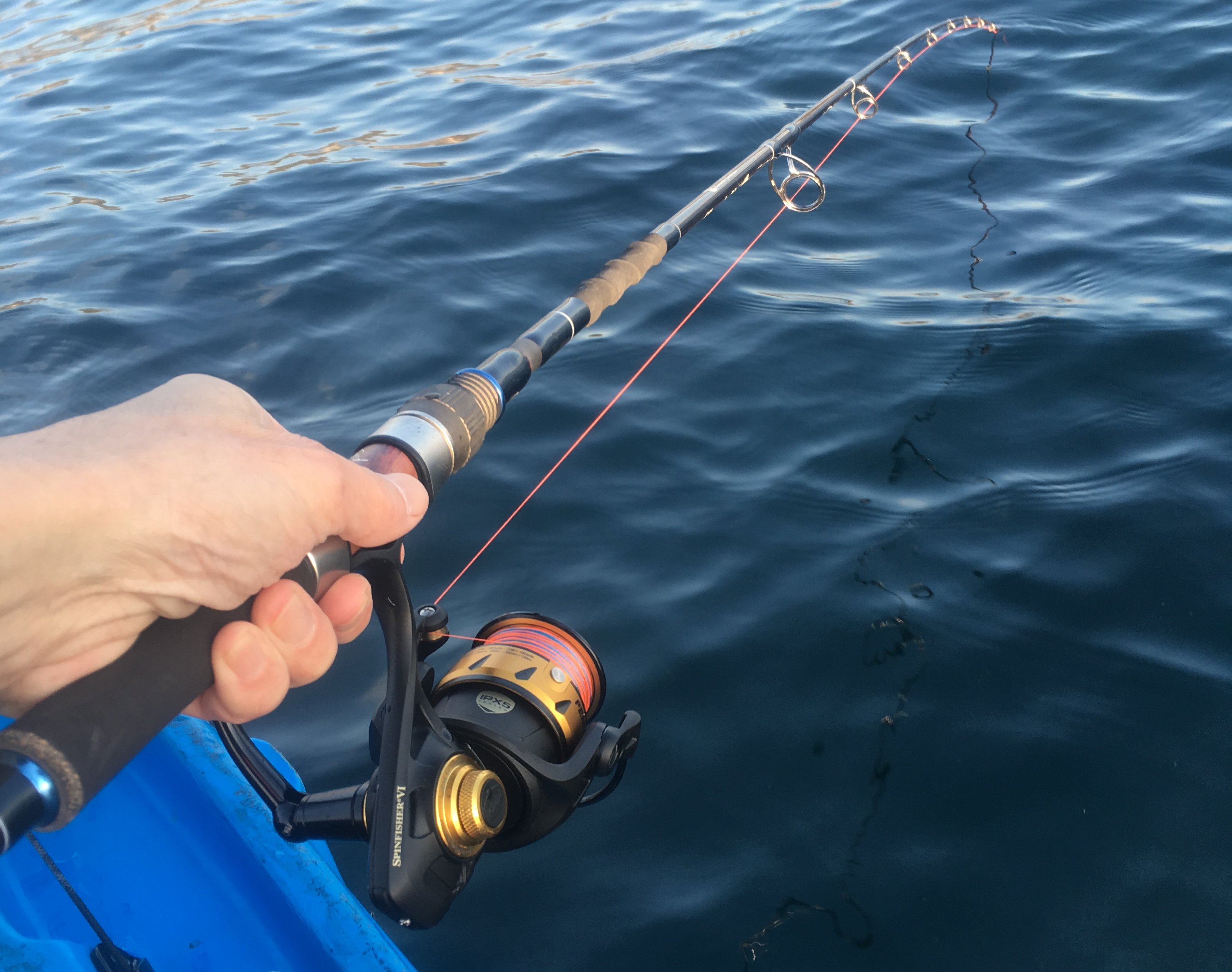 🎣徒然なる記録 ~ 第6世代の謎解き ~ PENN SPINFISHER V / Vl