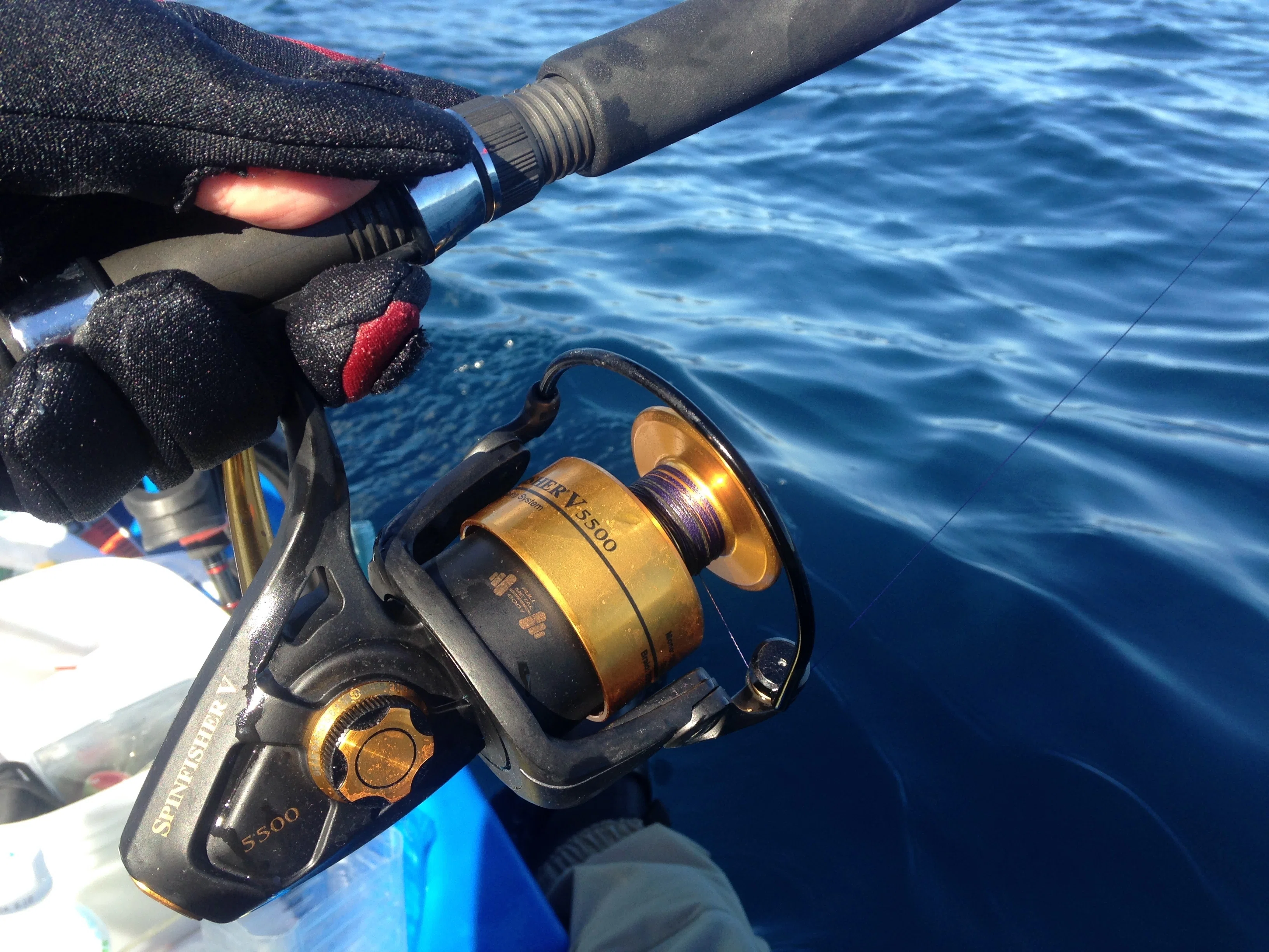 🎣徒然なる記録 ~ 第6世代の謎解き ~ PENN SPINFISHER V / Vl