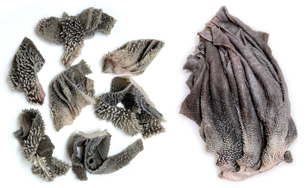 ホルモン英語を探せ！〜焼肉英語メニュー大捜査〜｜ホルモン☆もいしょう