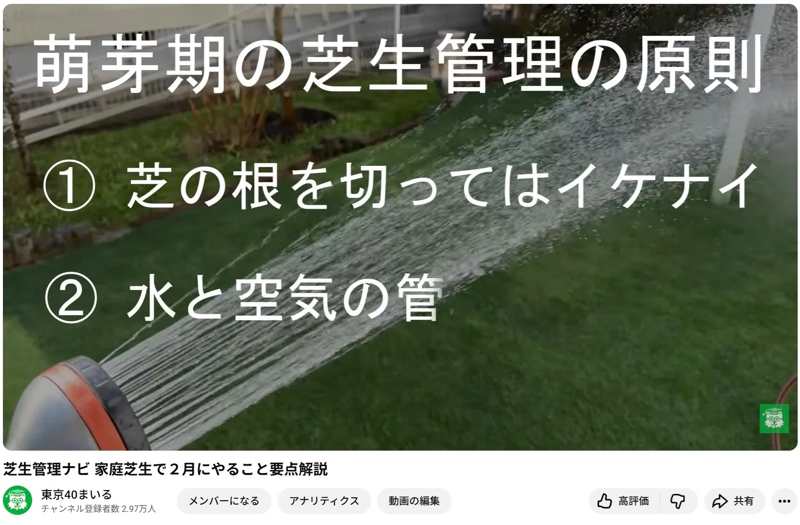 2月の芝生の手入れ ― 芝が目覚める時期の基礎知識 ― やる？やらない