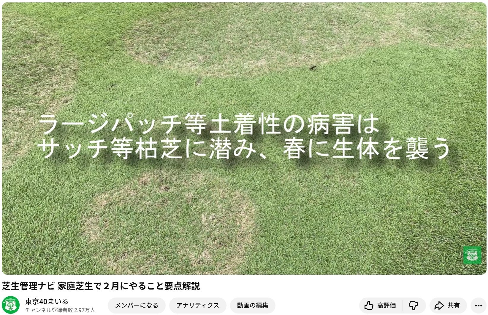 芝生　　※取引先決まりました 2月の芝生の手入れ ― 芝が目覚める時期の基礎知識 ― やる？やらない