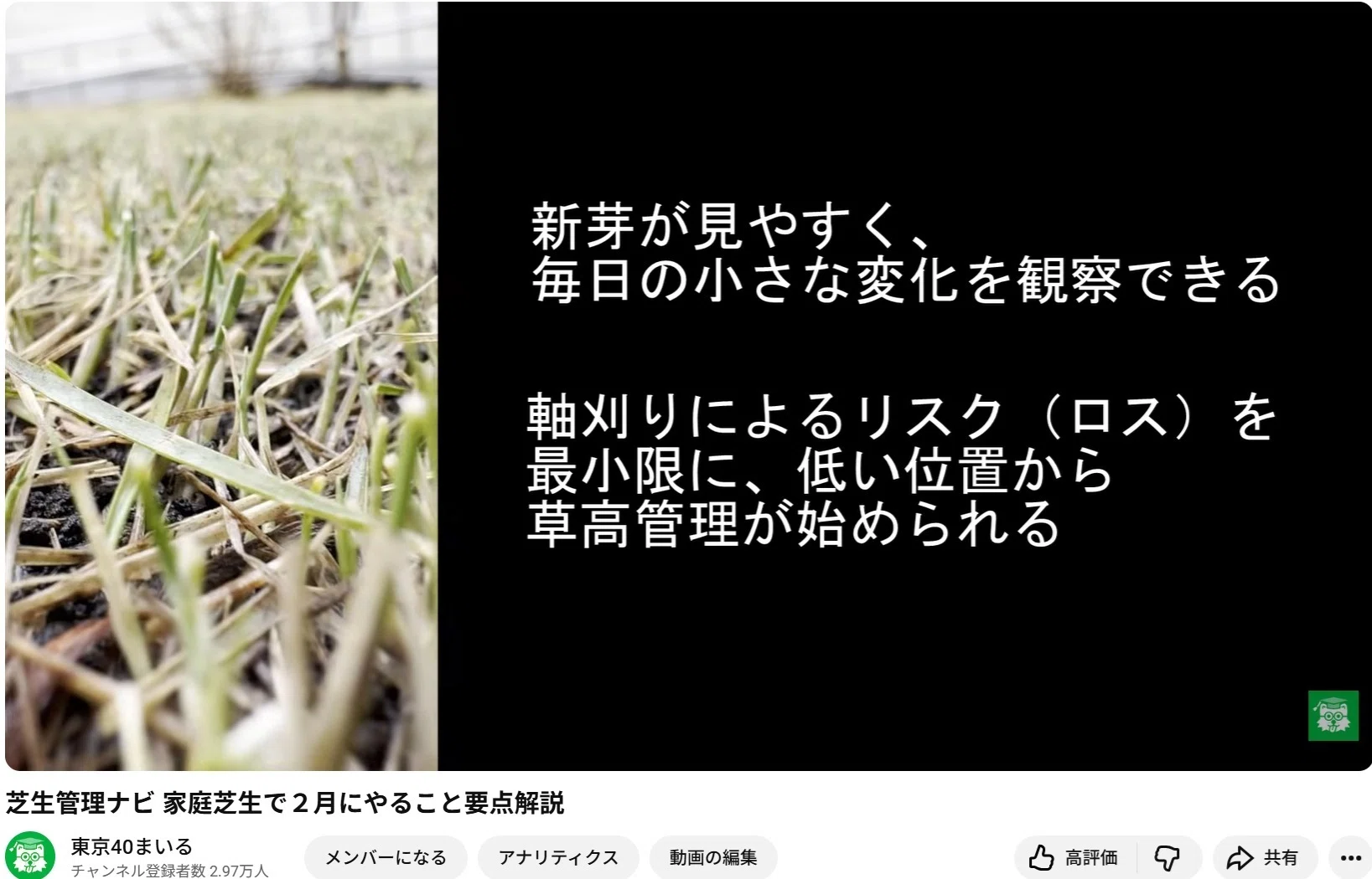 2月の芝生の手入れ ― 芝が目覚める時期の基礎知識 ― やる？やらない