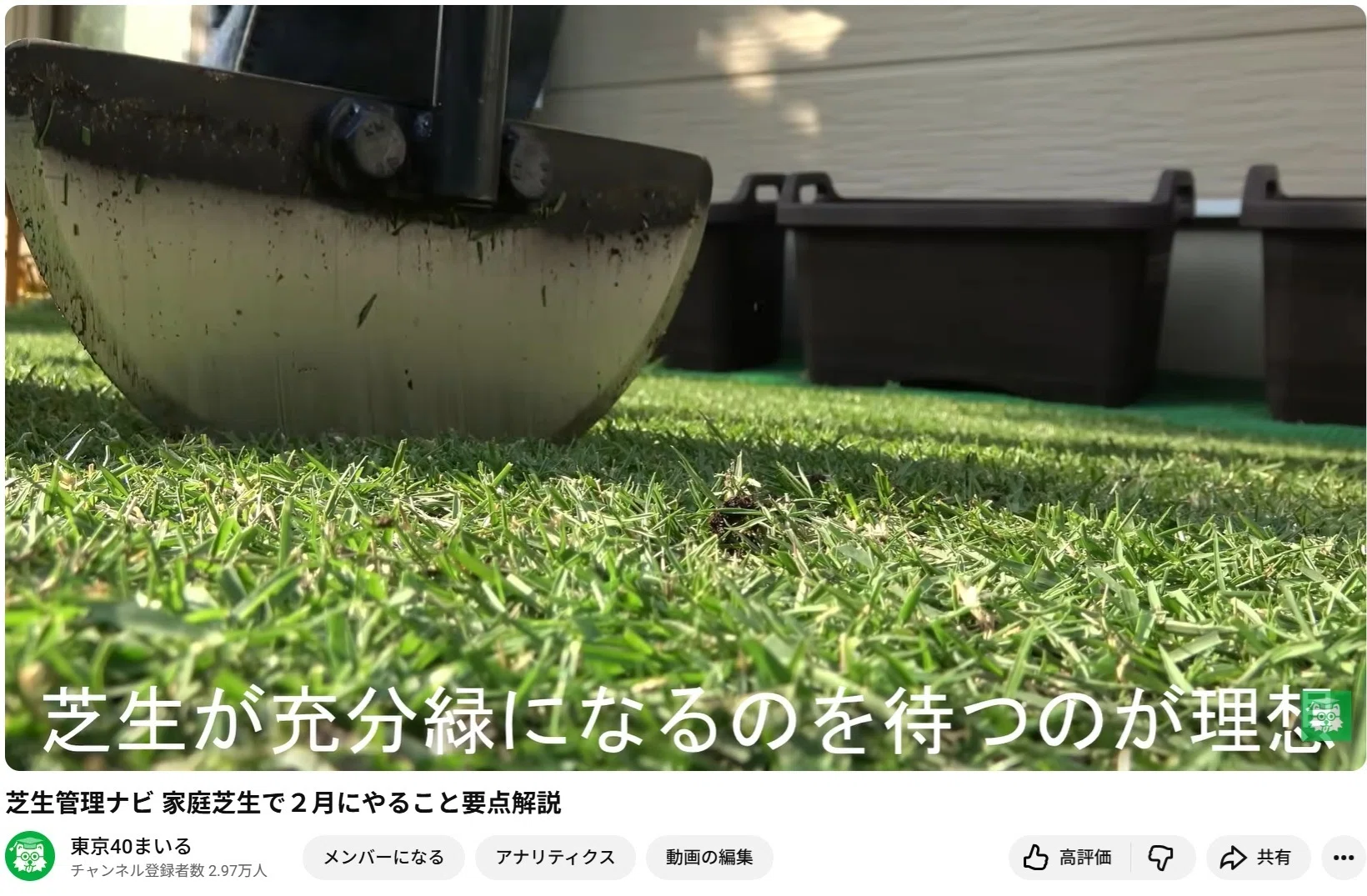 2月の芝生の手入れ ― 芝が目覚める時期の基礎知識 ― やる？やらない