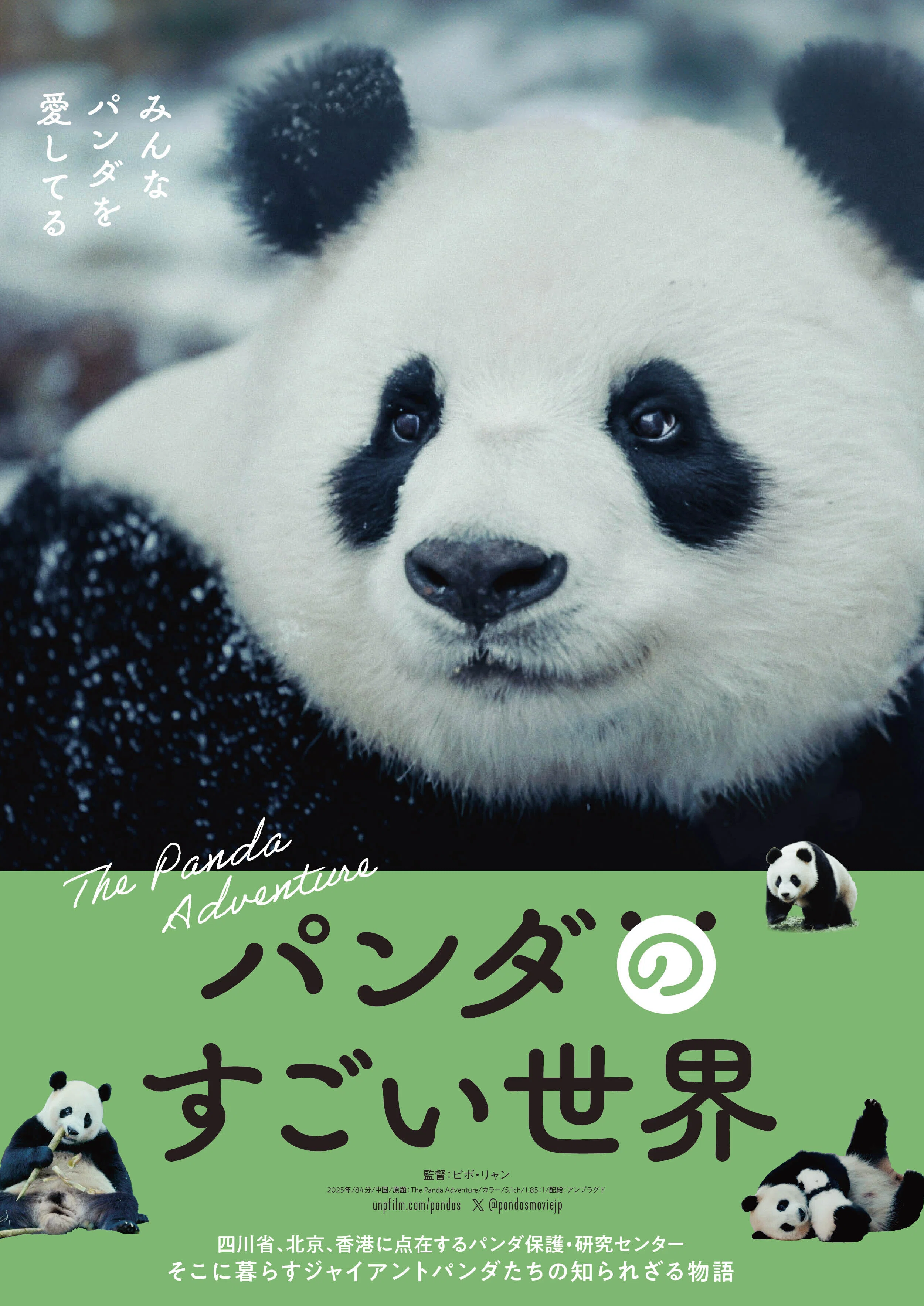 パンダのすごい世界』遠藤憲一さんがパンダの巨大ぬいぐるみと登壇